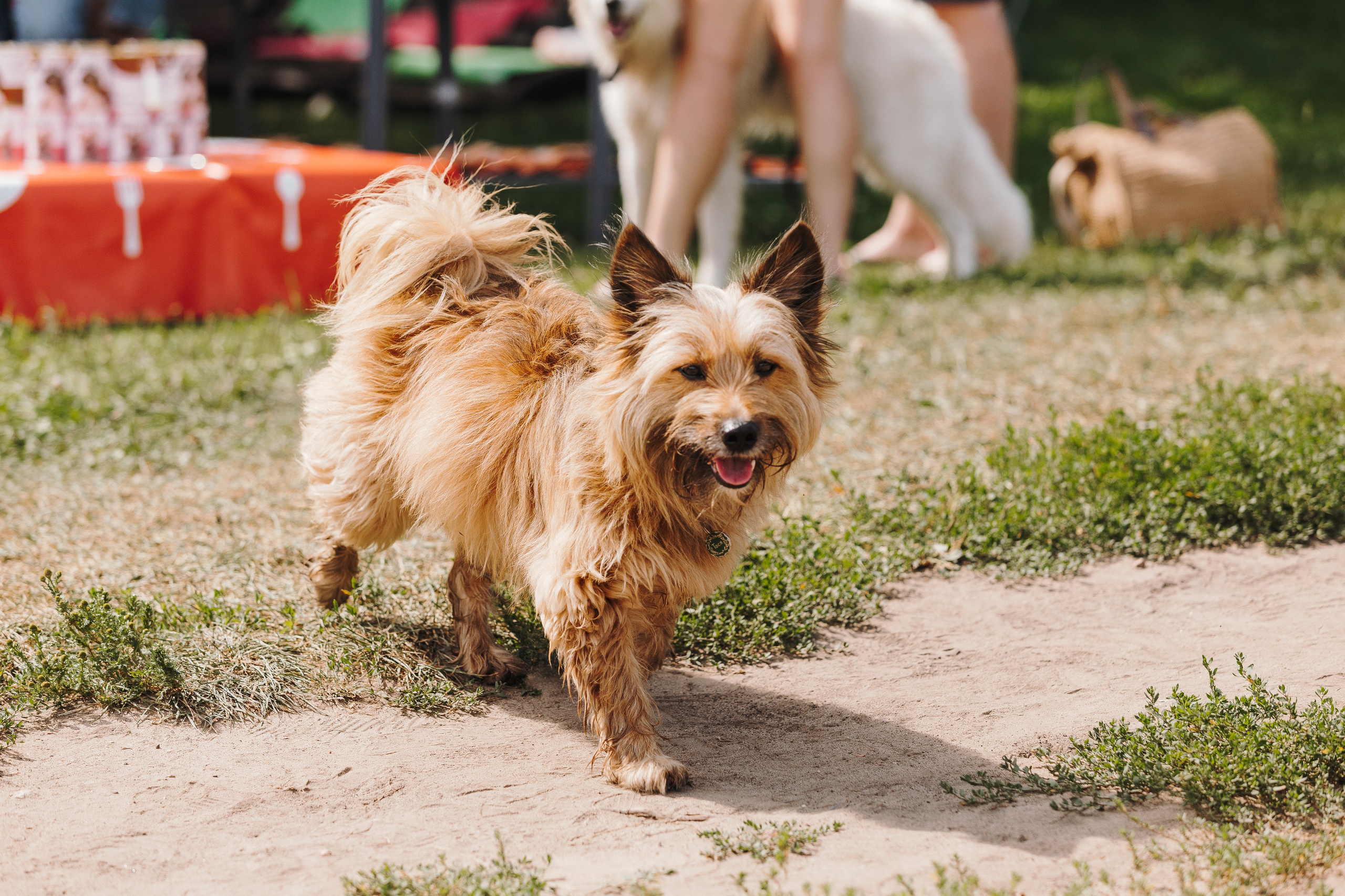 Petshop Sup day. Фотограф анималист Кристина Карпова, Москва