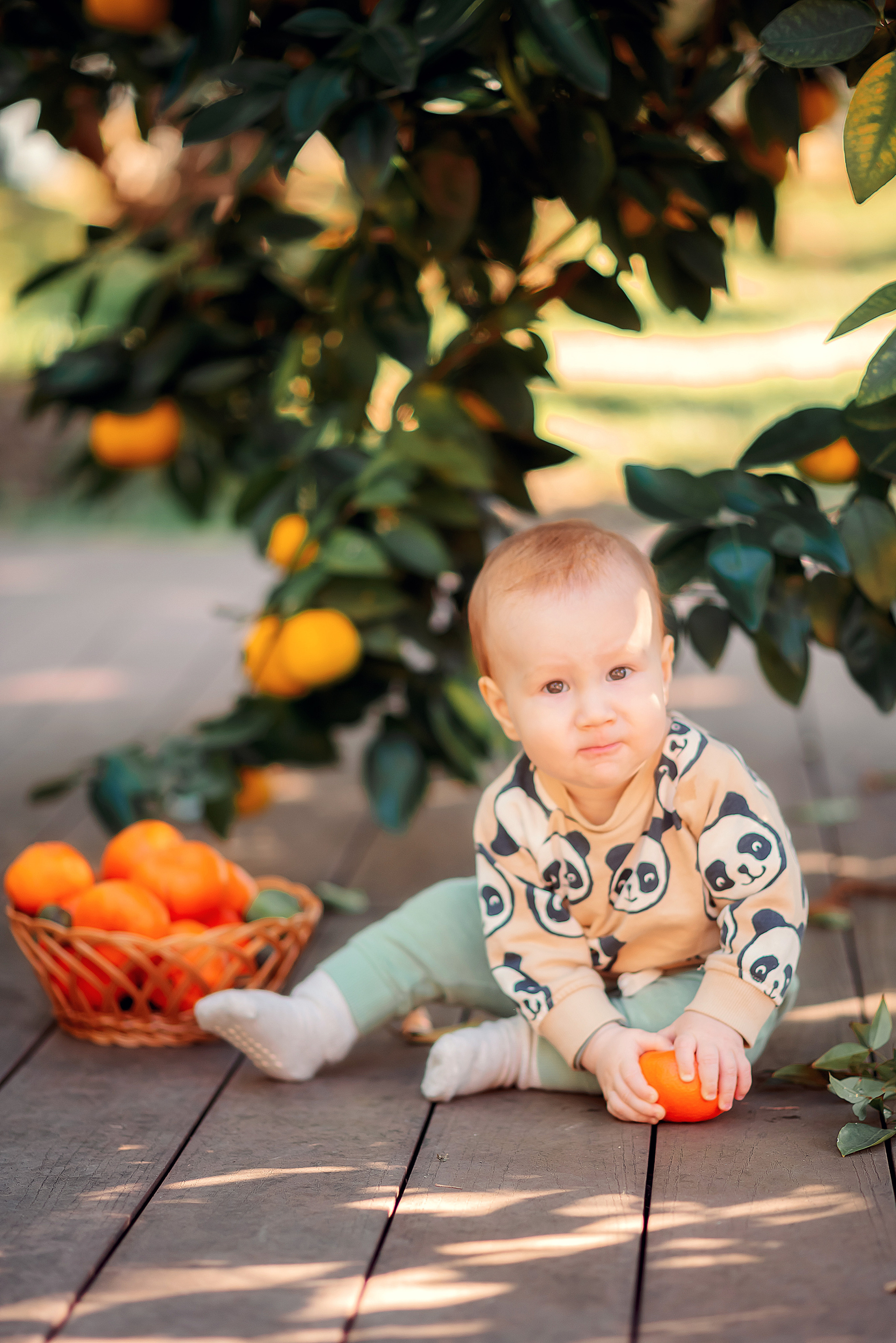 Семейные. Семейный и женский фотограф Лоо Краснодар Сочи Энем Татьяна Трибурт