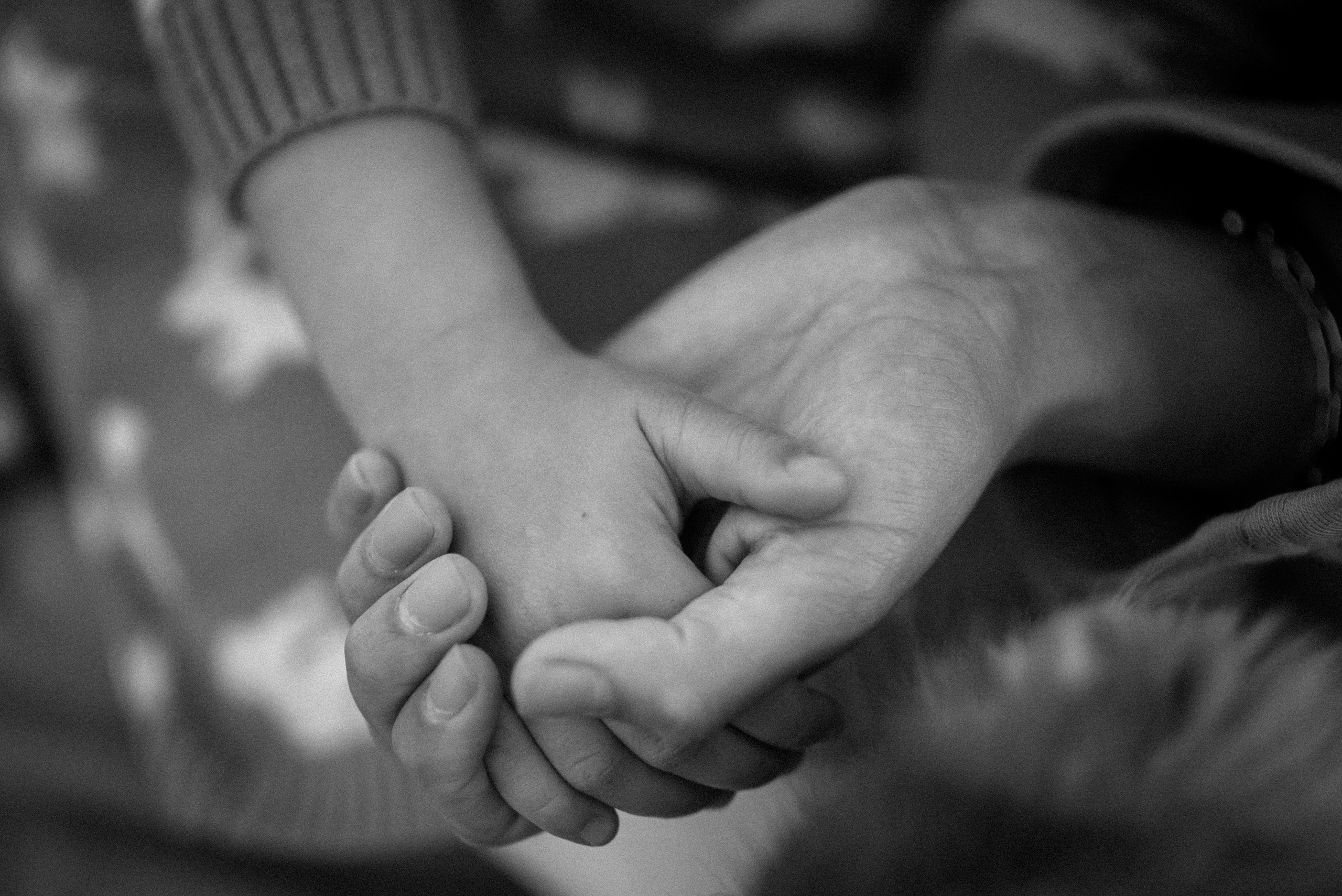 Семейные. Семейный и женский фотограф Лоо Краснодар Сочи Энем Татьяна Трибурт