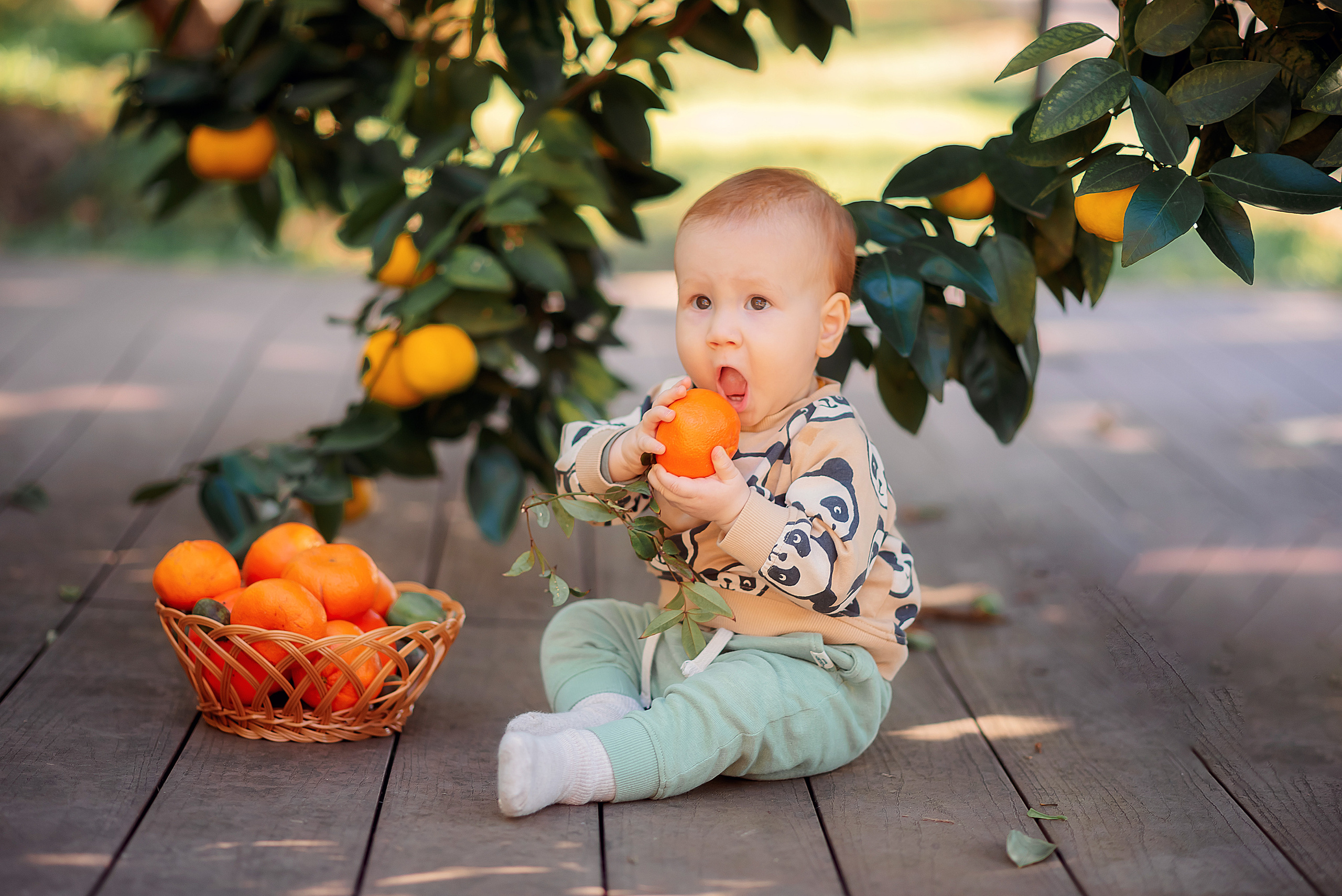 Семейные. Семейный и женский фотограф Лоо Краснодар Сочи Энем Татьяна Трибурт