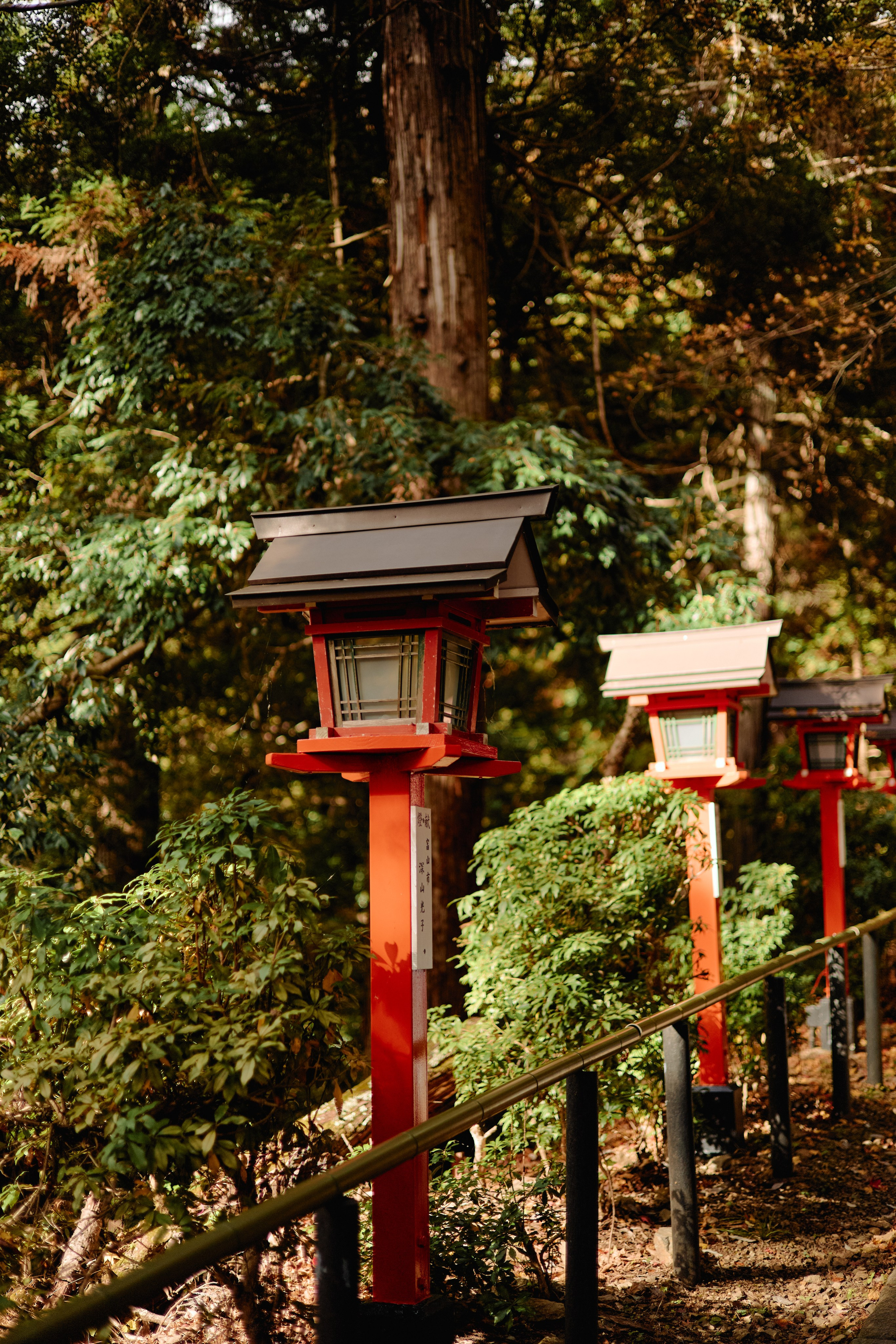 Япония. Профессиональный Фотограф во Владимире, в Москве и в Суздале — Полина Романычева