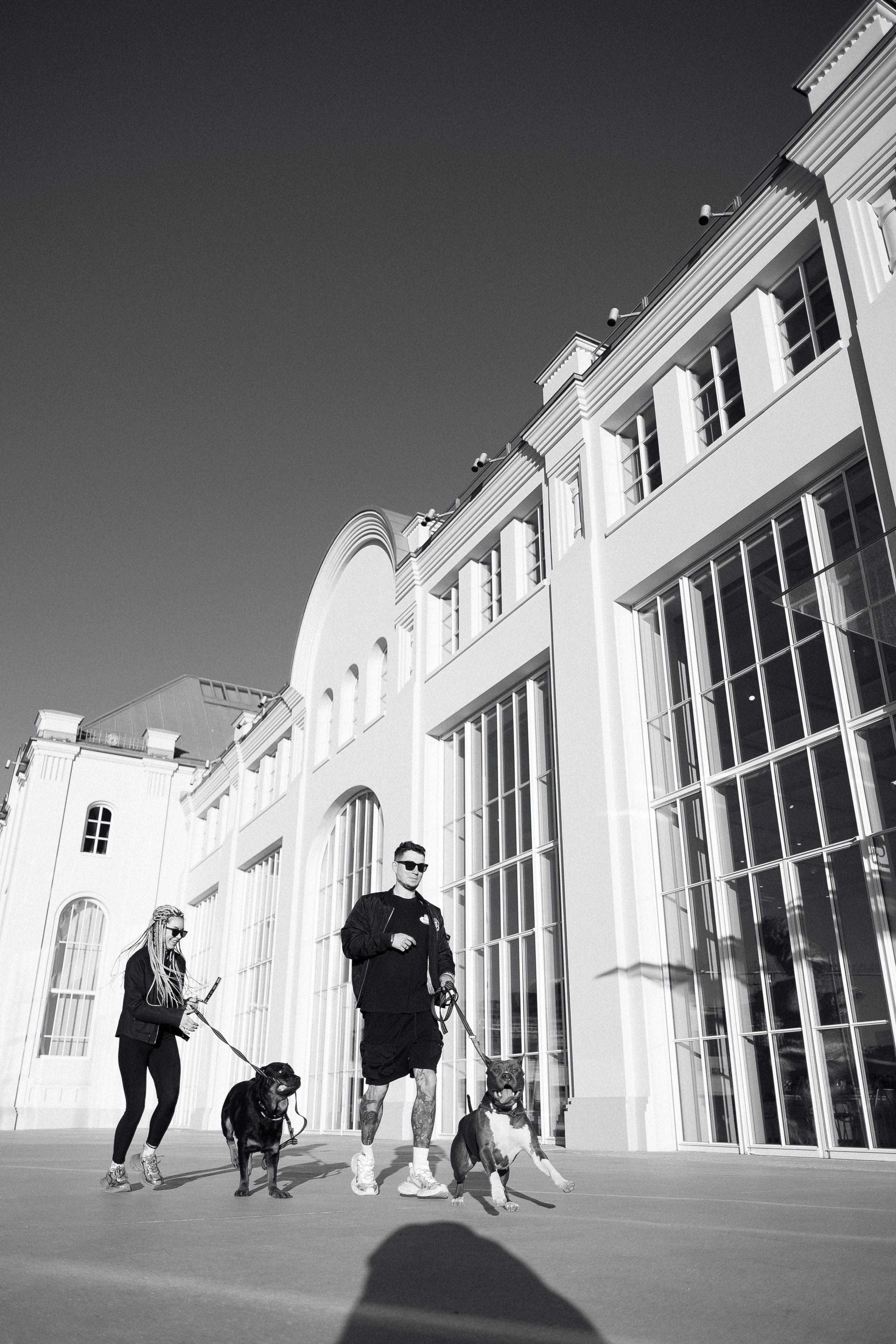 Катя, Леша, Трой и Лея. Фотограф и видеограф анималист Аганина Дарья