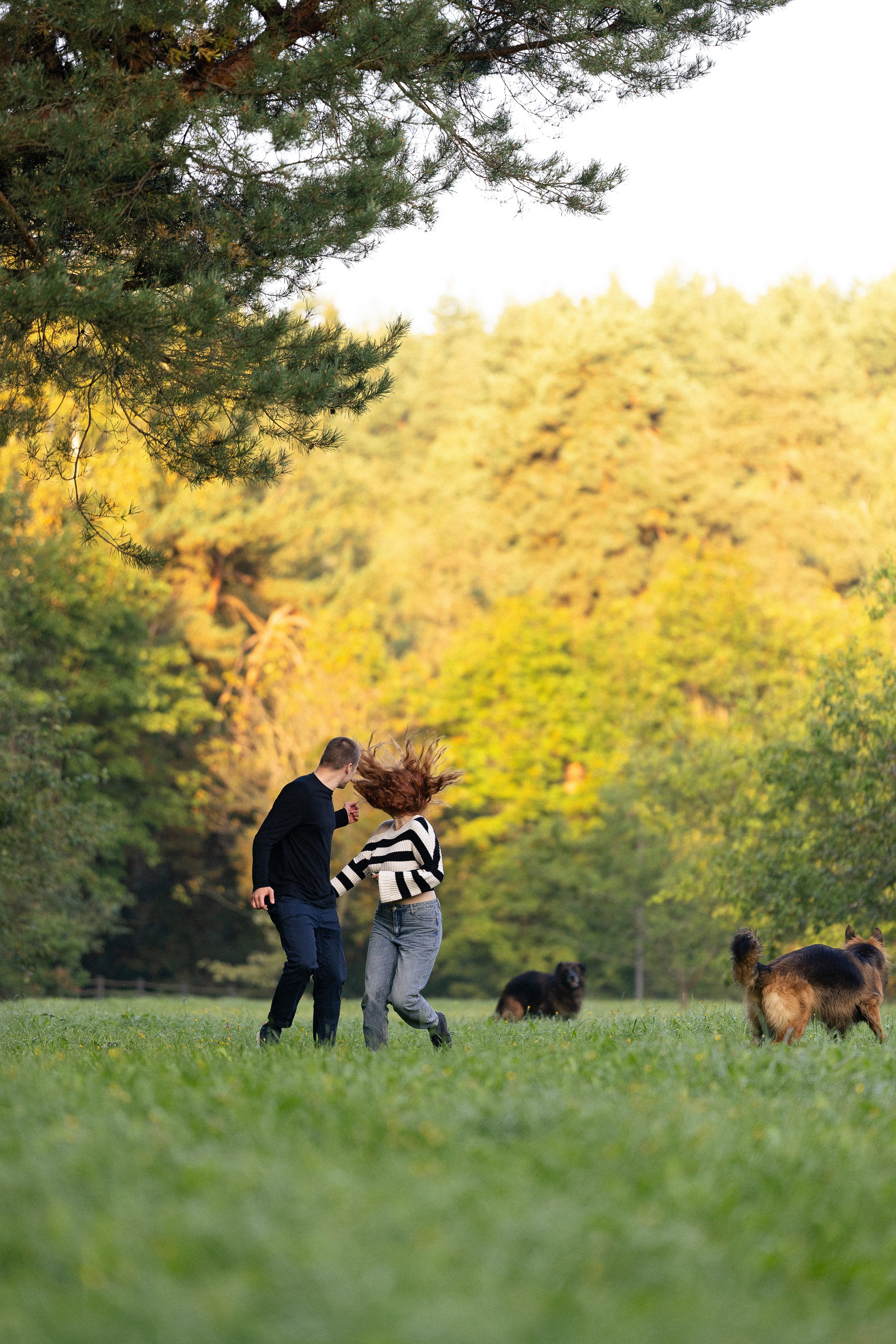 Алена, Матвей, Фанни и Фрея. Фотограф и видеограф анималист Аганина Дарья