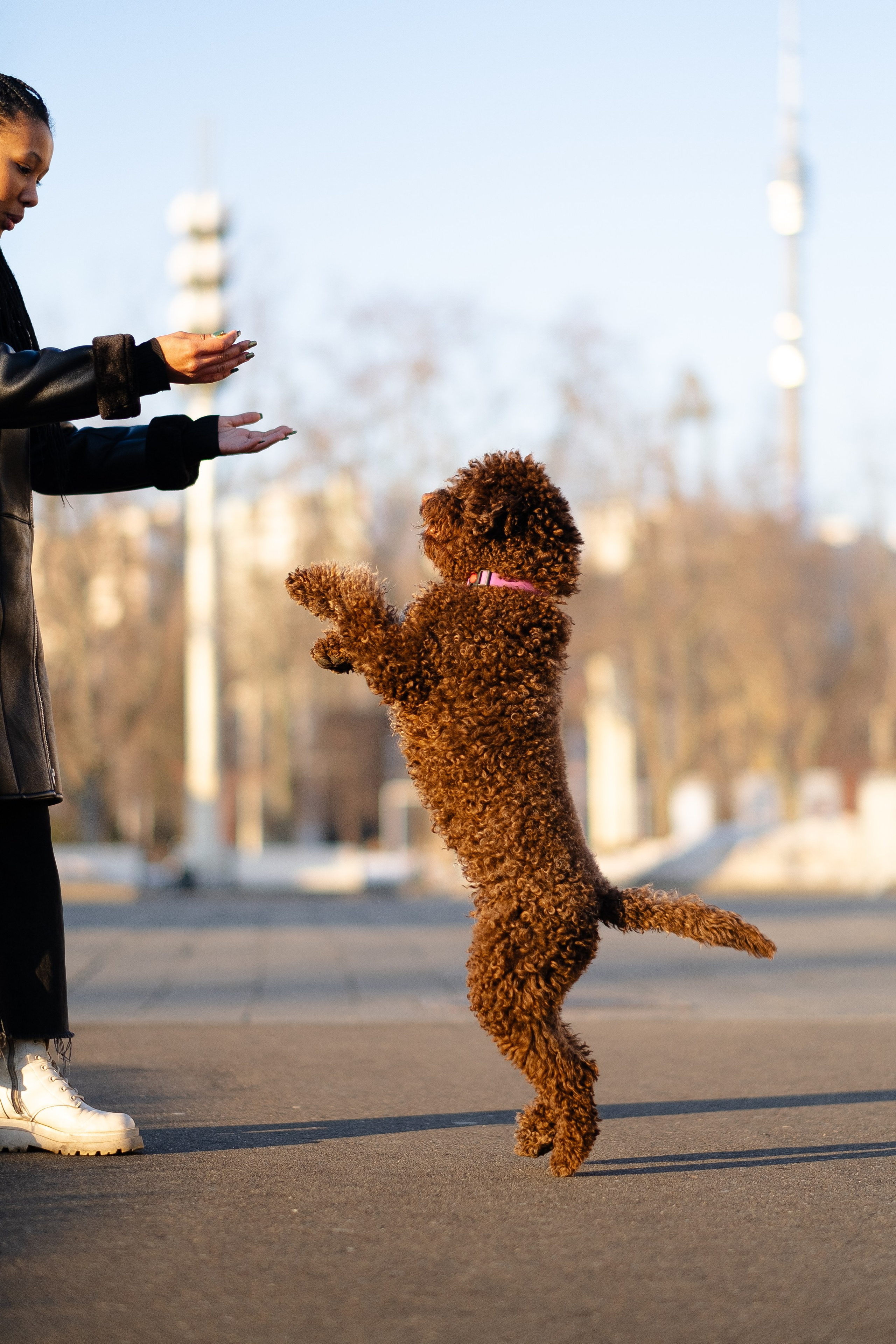 Тьеринна и Миша. Фотограф и видеограф анималист Аганина Дарья