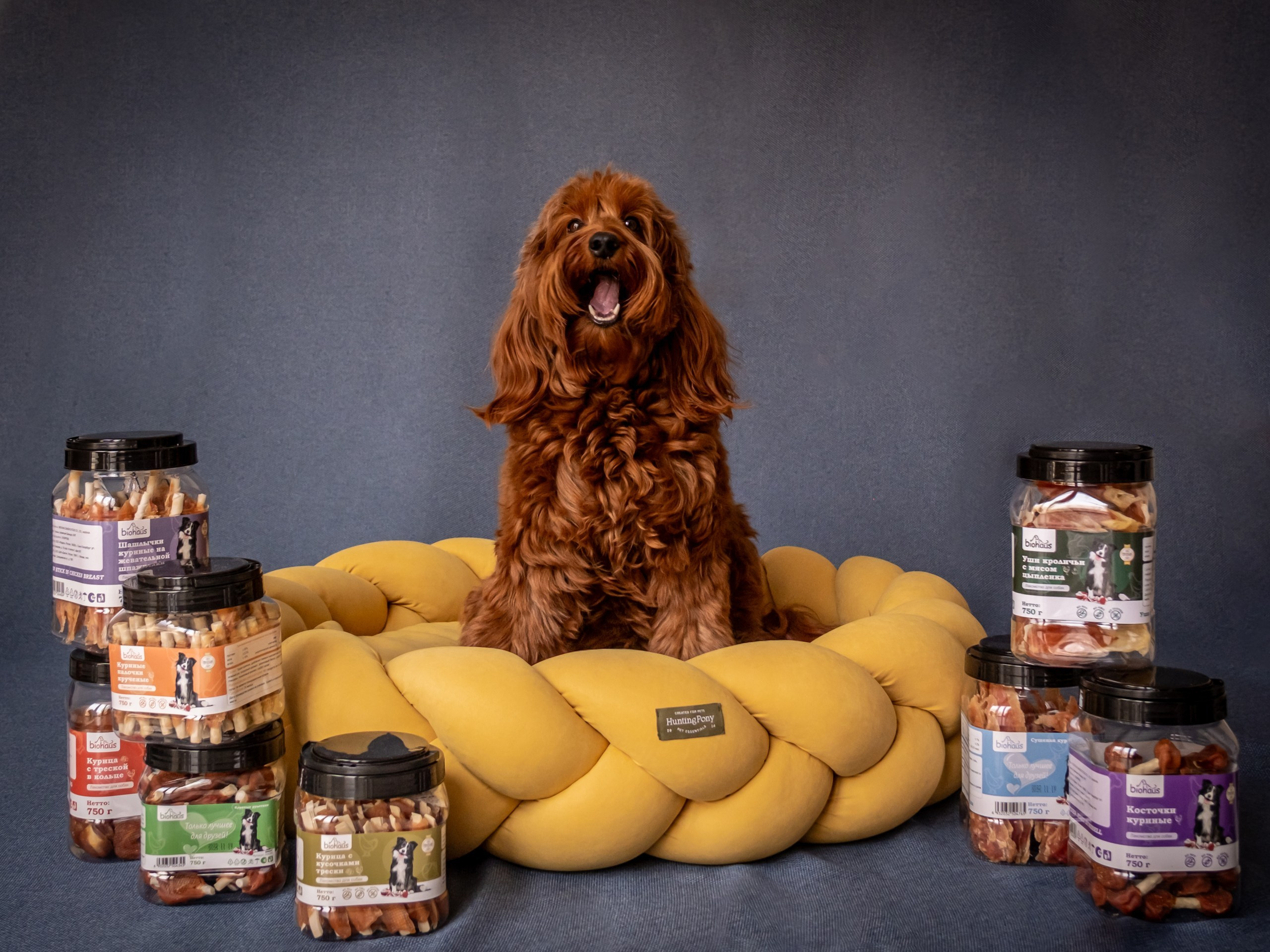 Съёмка для рекламы лакомства для собак (для Марии)!. Зоофотограф, фотограф животных в Москве и области Дина Дамоцева