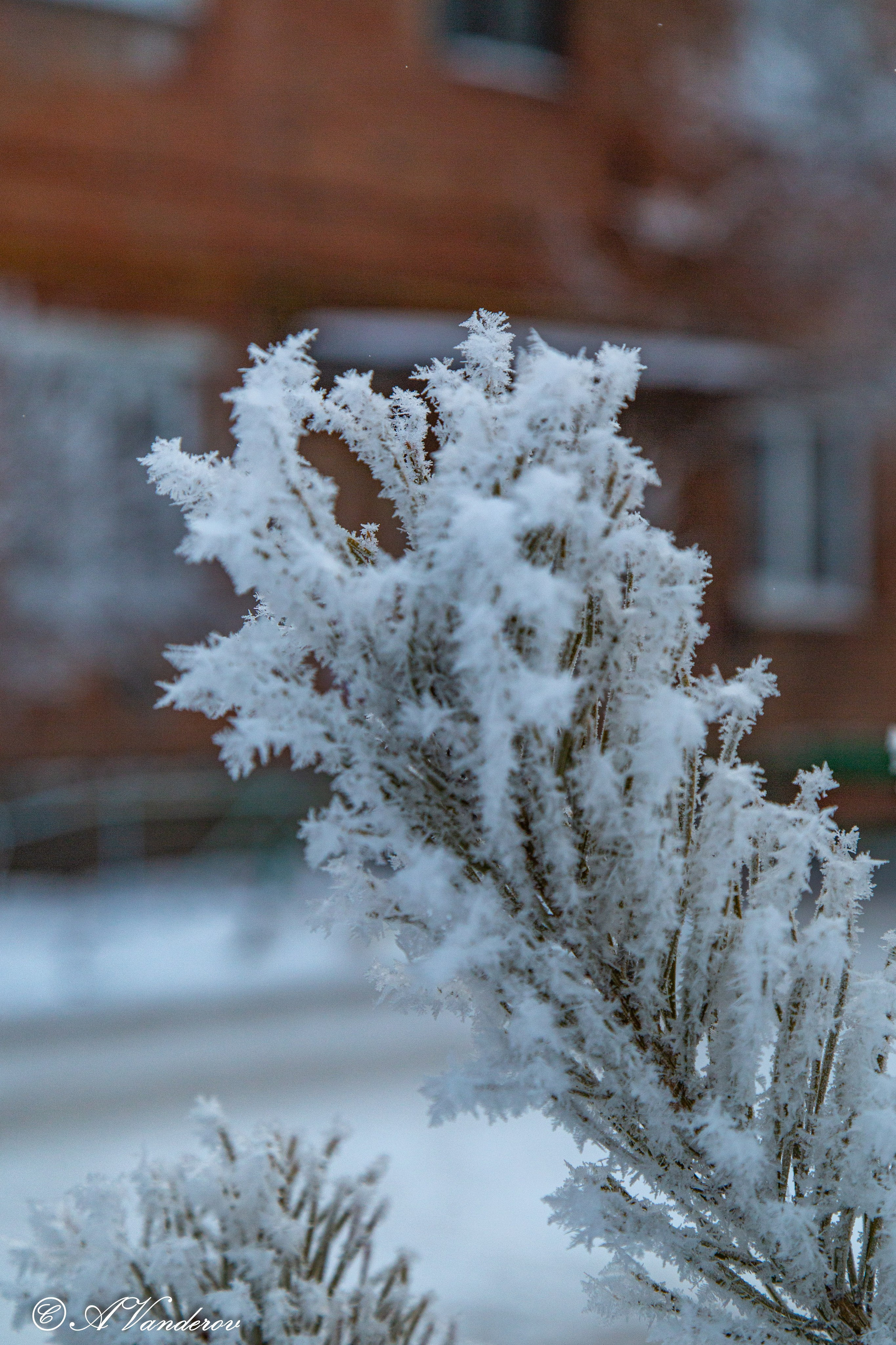 Красота природы. Фотограф Омск | Александр Вандеров