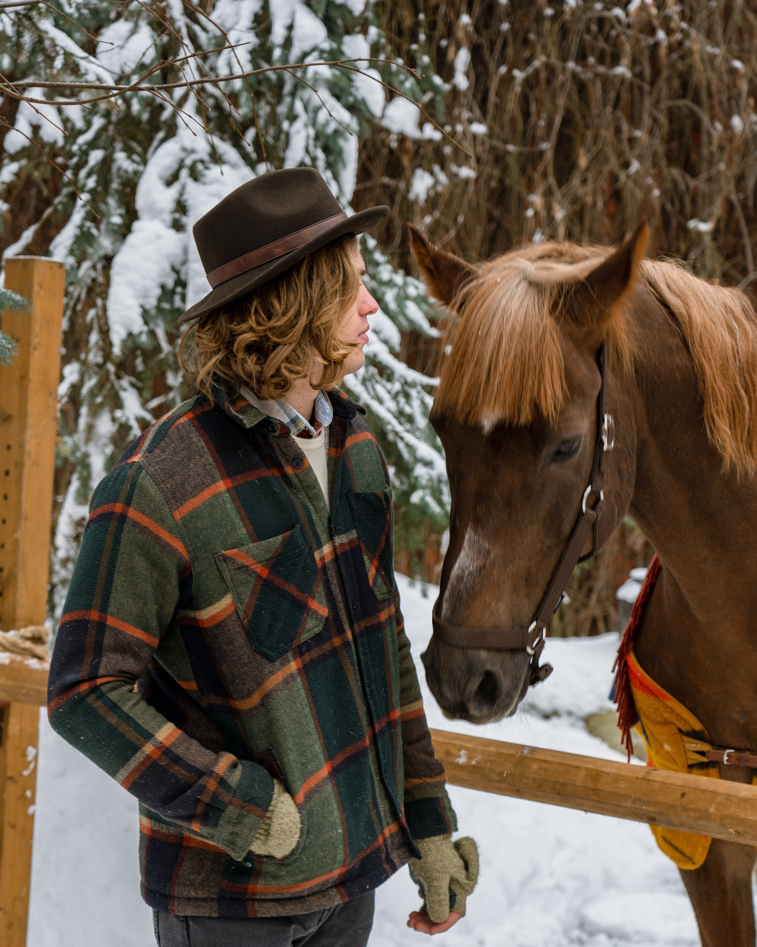 Фотосессия с лошадьми. Главная