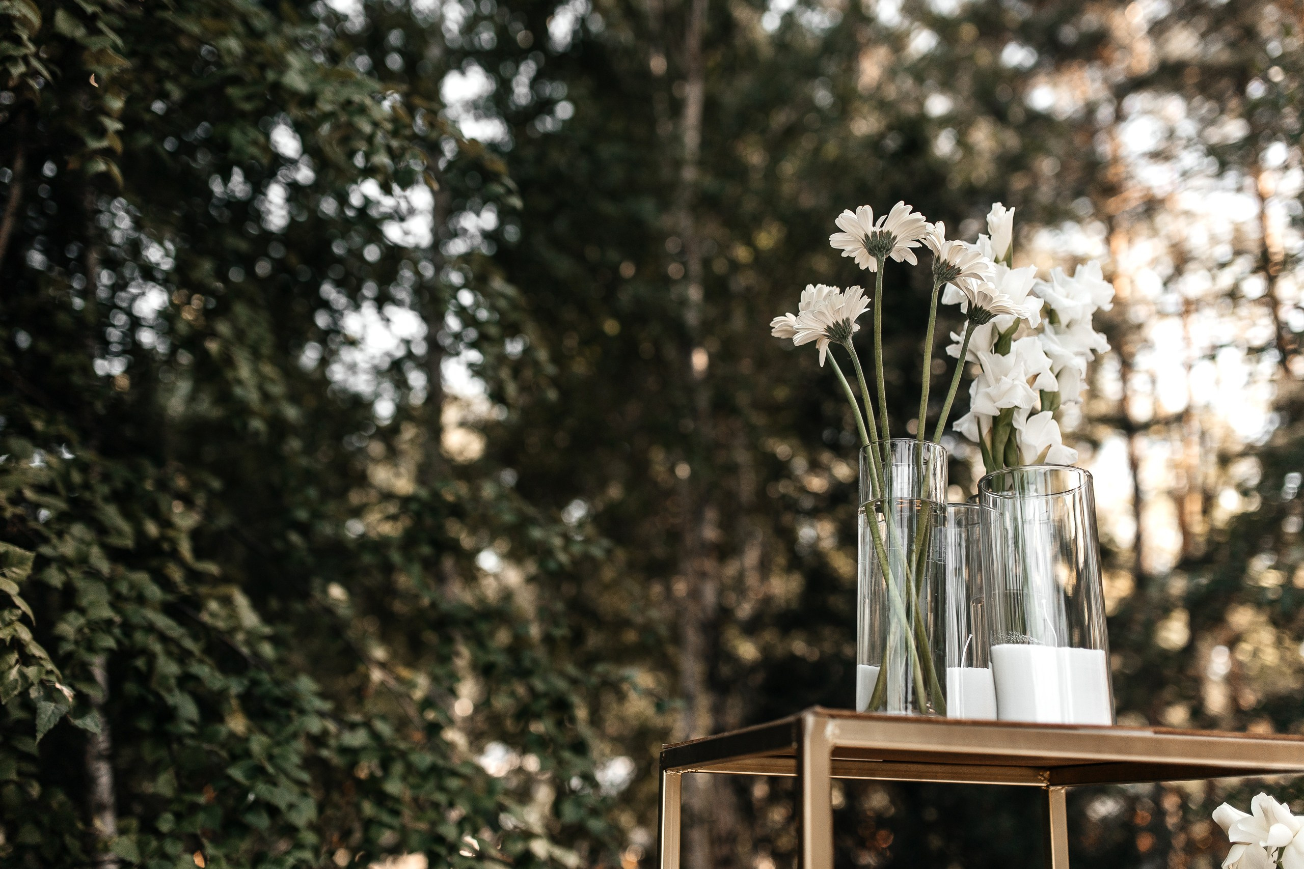 DMITRY & ANNA. Свадебный фотограф в Ульяновске Владимир Лесников