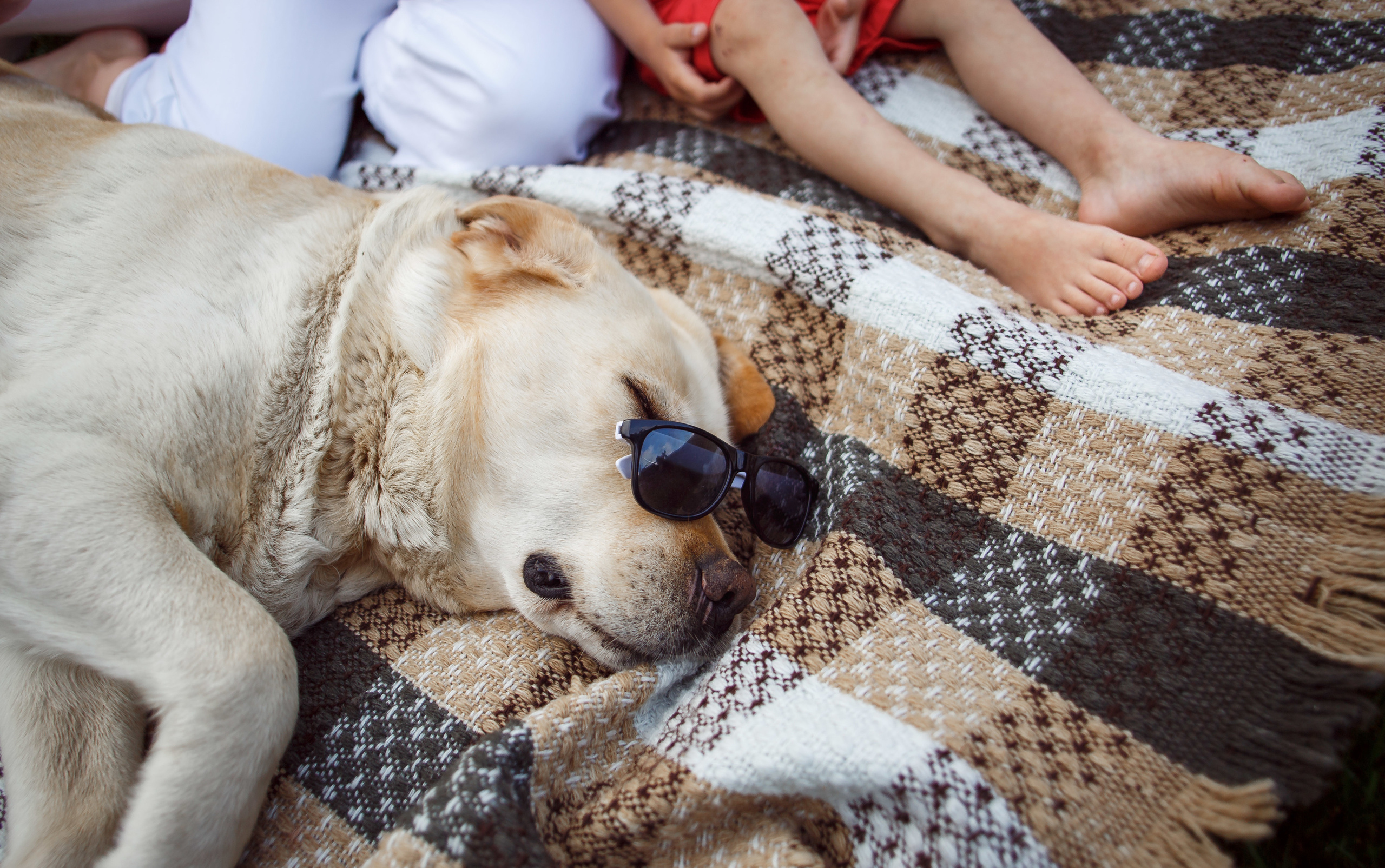 Семья и дети. Свадебный и семейный фотограф в Несвиже Ксения Самойлик