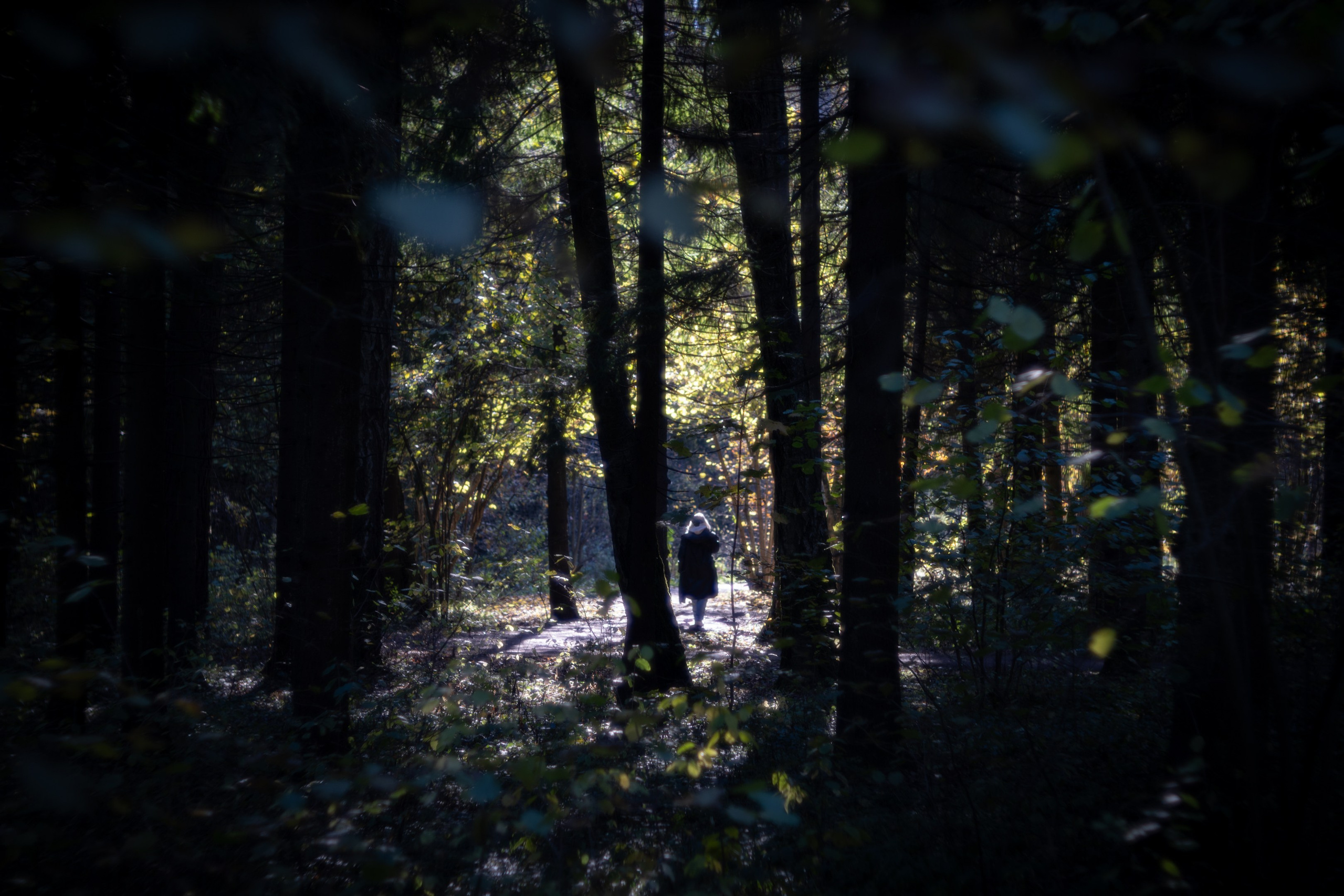 ПЕРЕДЕЛКИНО. ПОБУДЬ ЗДЕСЬ И ЦЕЛЕЕ БУДЕТ ЭТОТ МИР