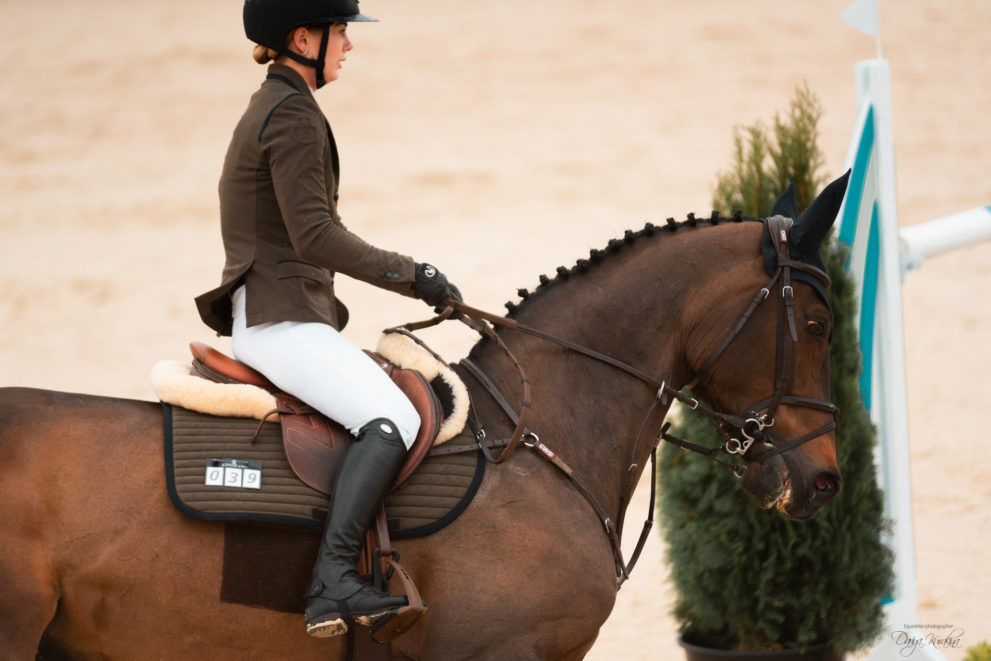 BITRIVER CUP 2023. Конный фотограф Куракина Дарья • Фотосессии с лошадьми