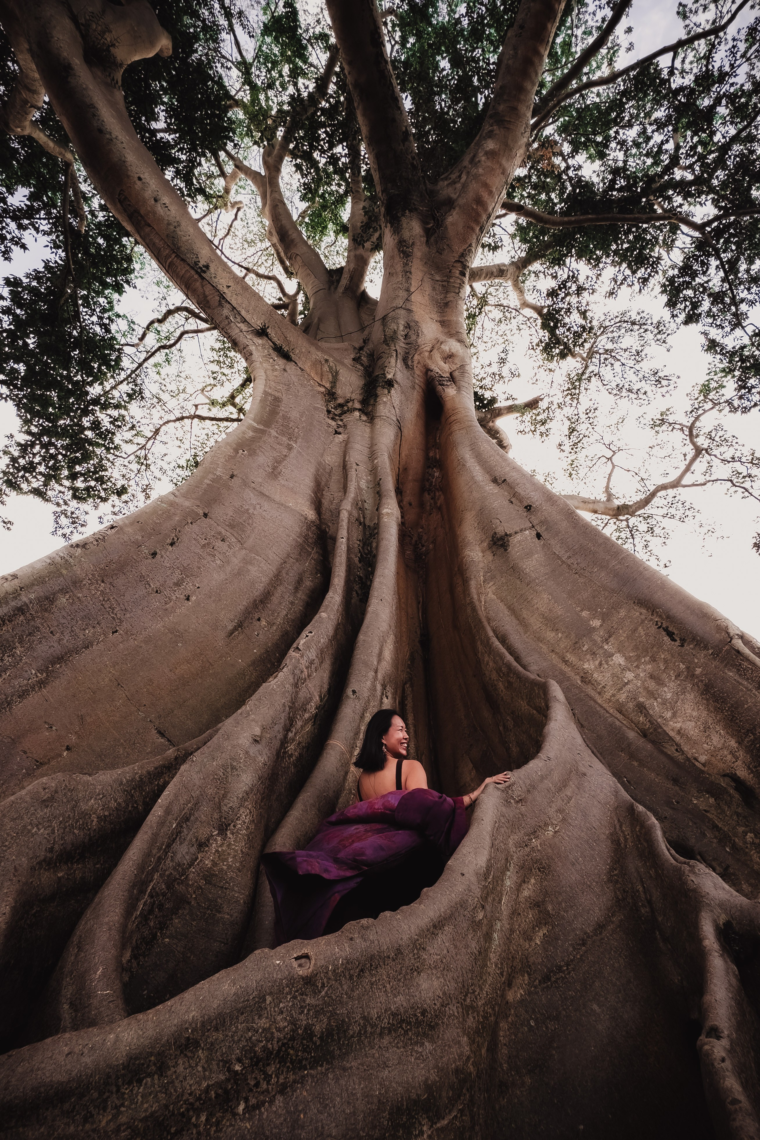 Banyan date. Mariam Bagdasaryan