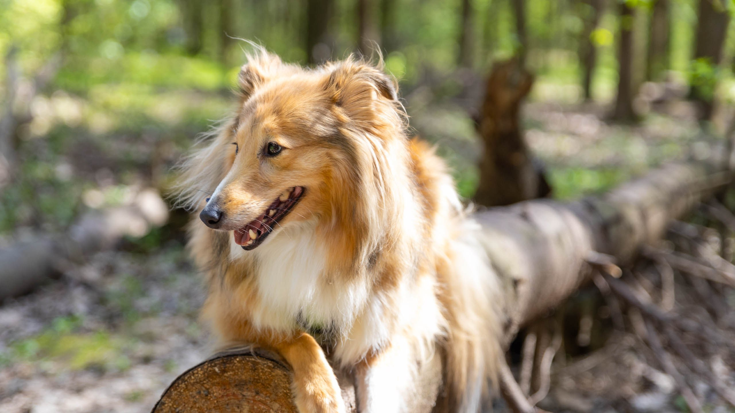 202404 Элис и Лора. Фотографии