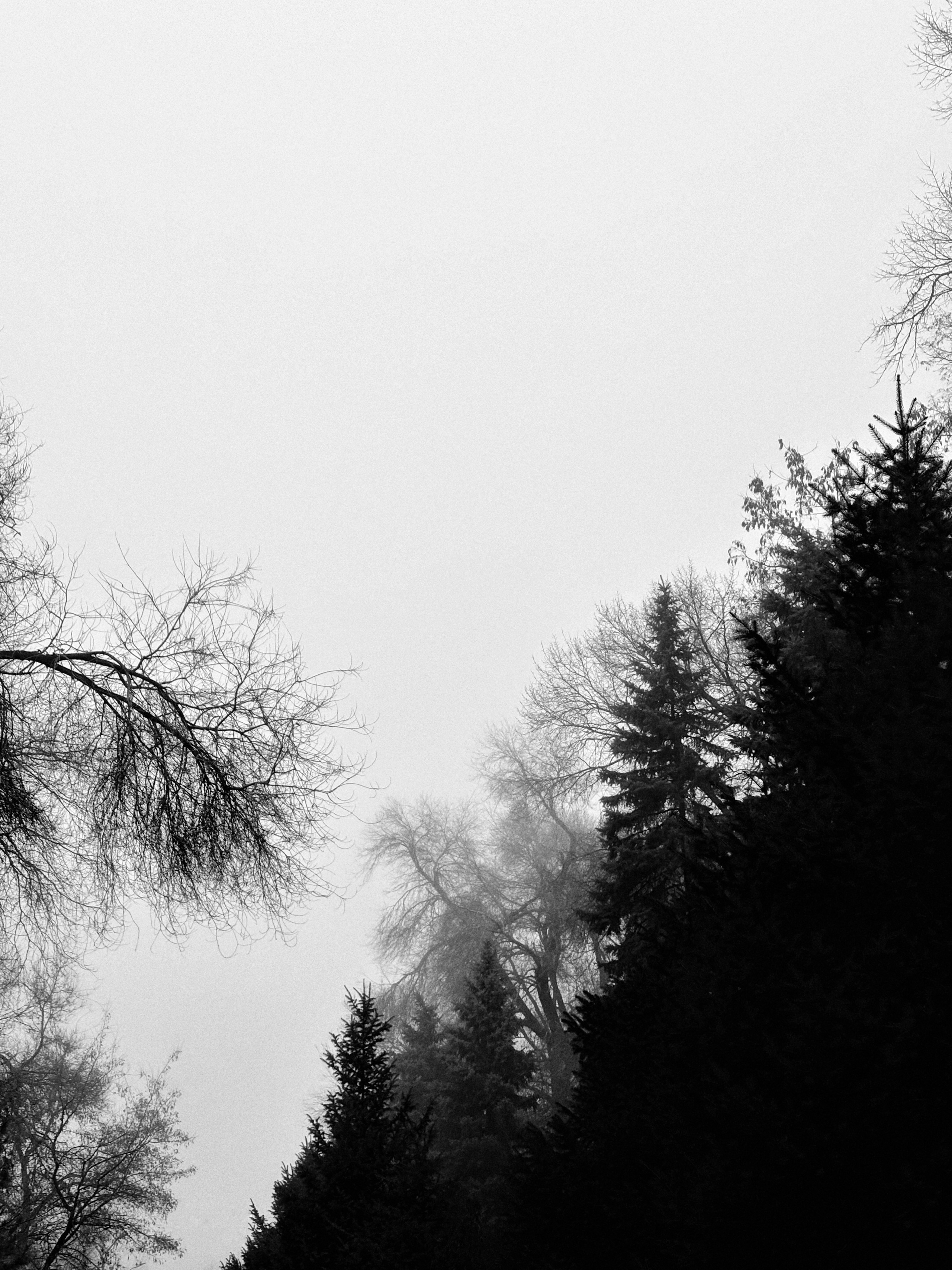 Black and white diary