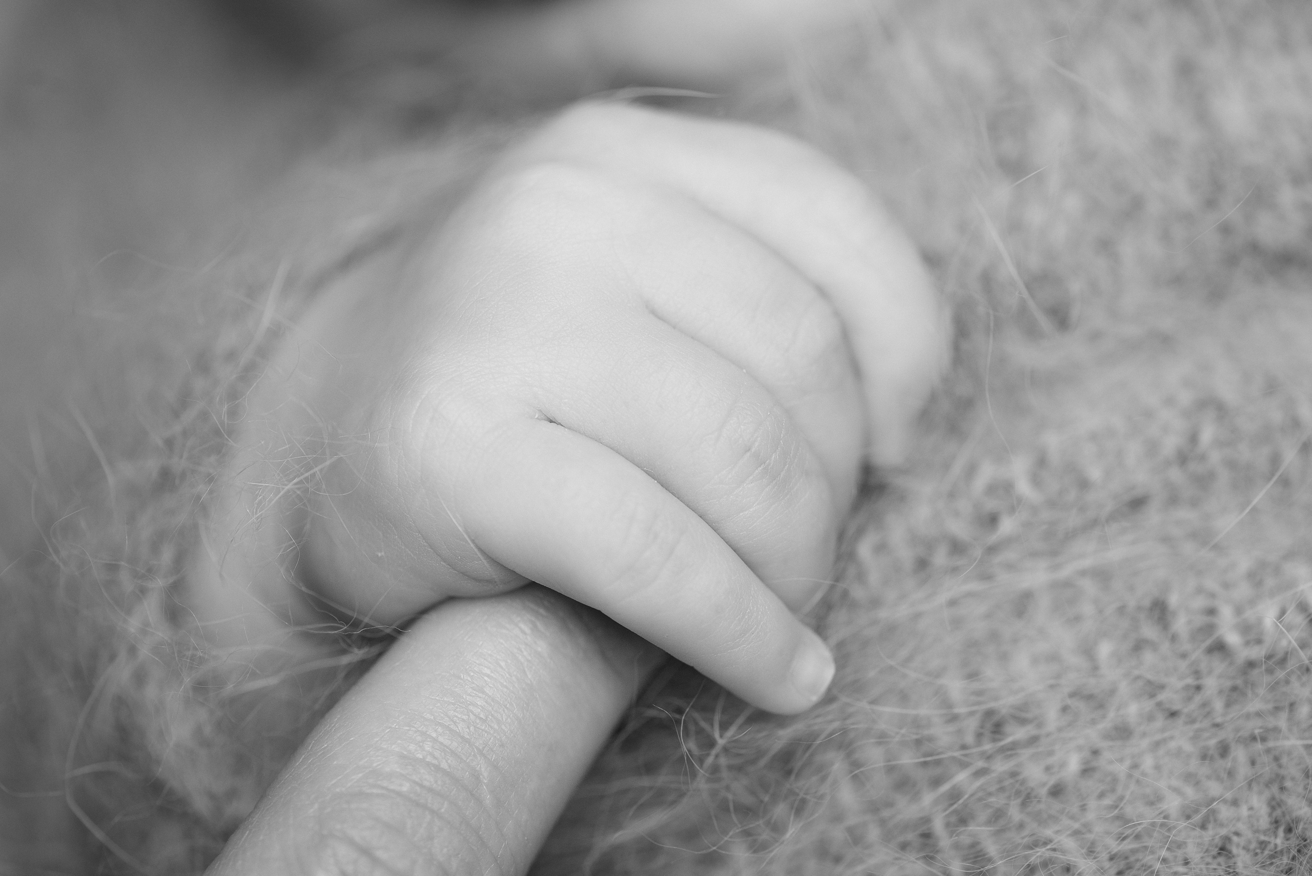 Макро. Фотограф Новорожденных во Владивостоке Ольга Галаницкая