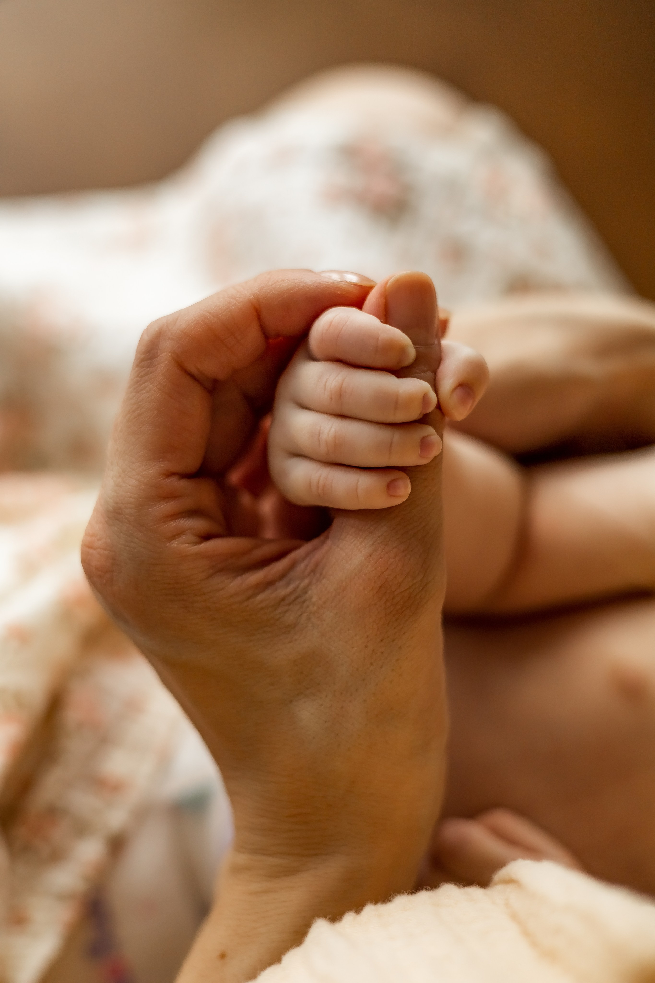 Новорожденные и малыши до года. Семейный и детский фотограф в Москве Анна Чертополох