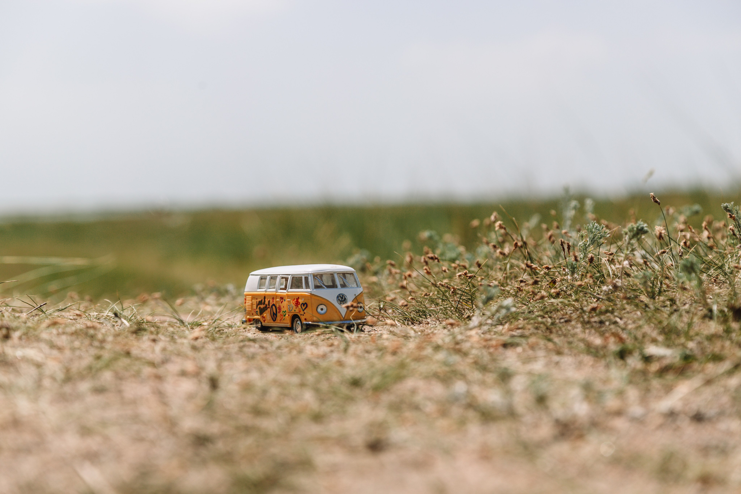 Машины. Фотограф Олеся Кавлакан