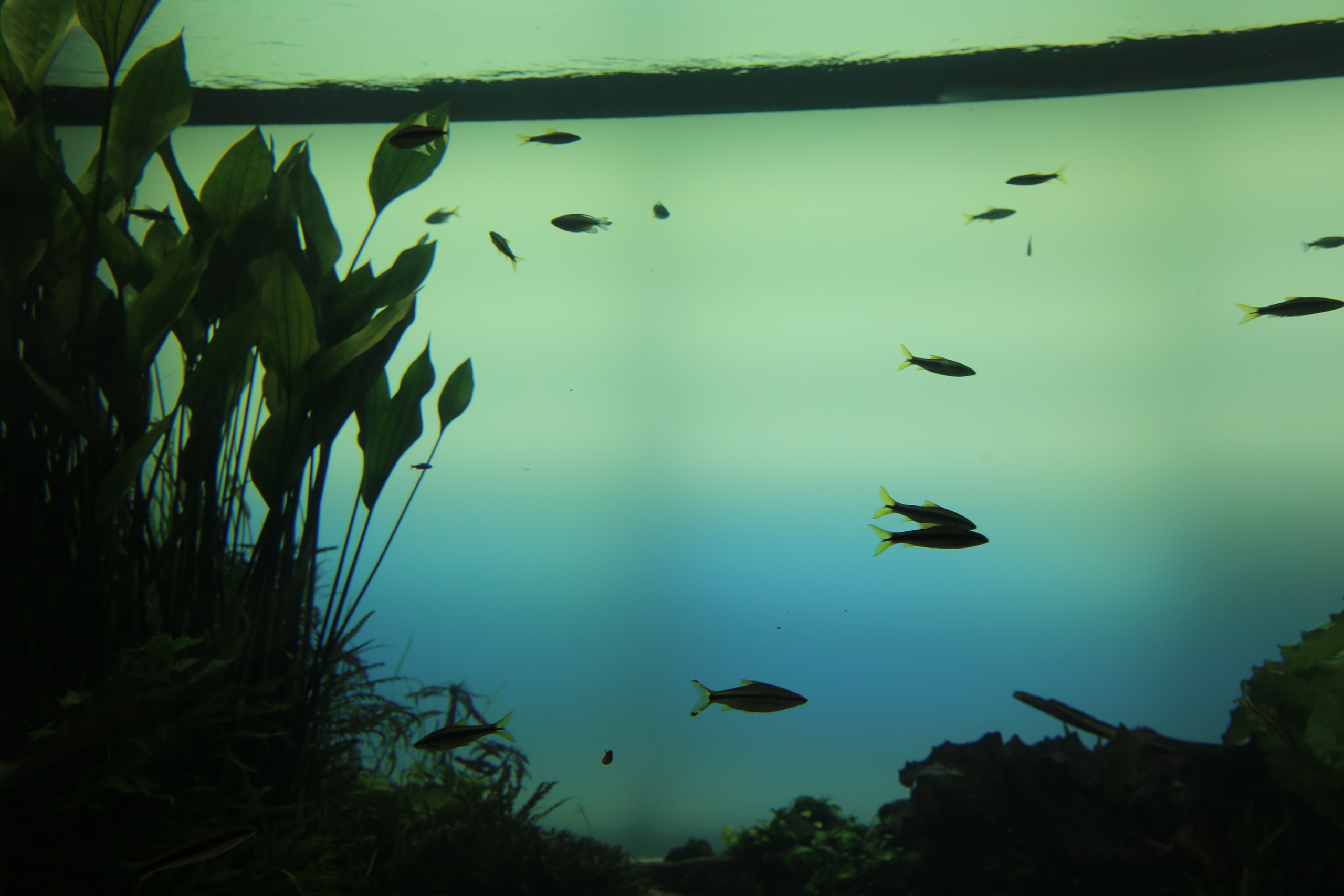 Lisbon, Portugal. Andrey Filippov Photographer