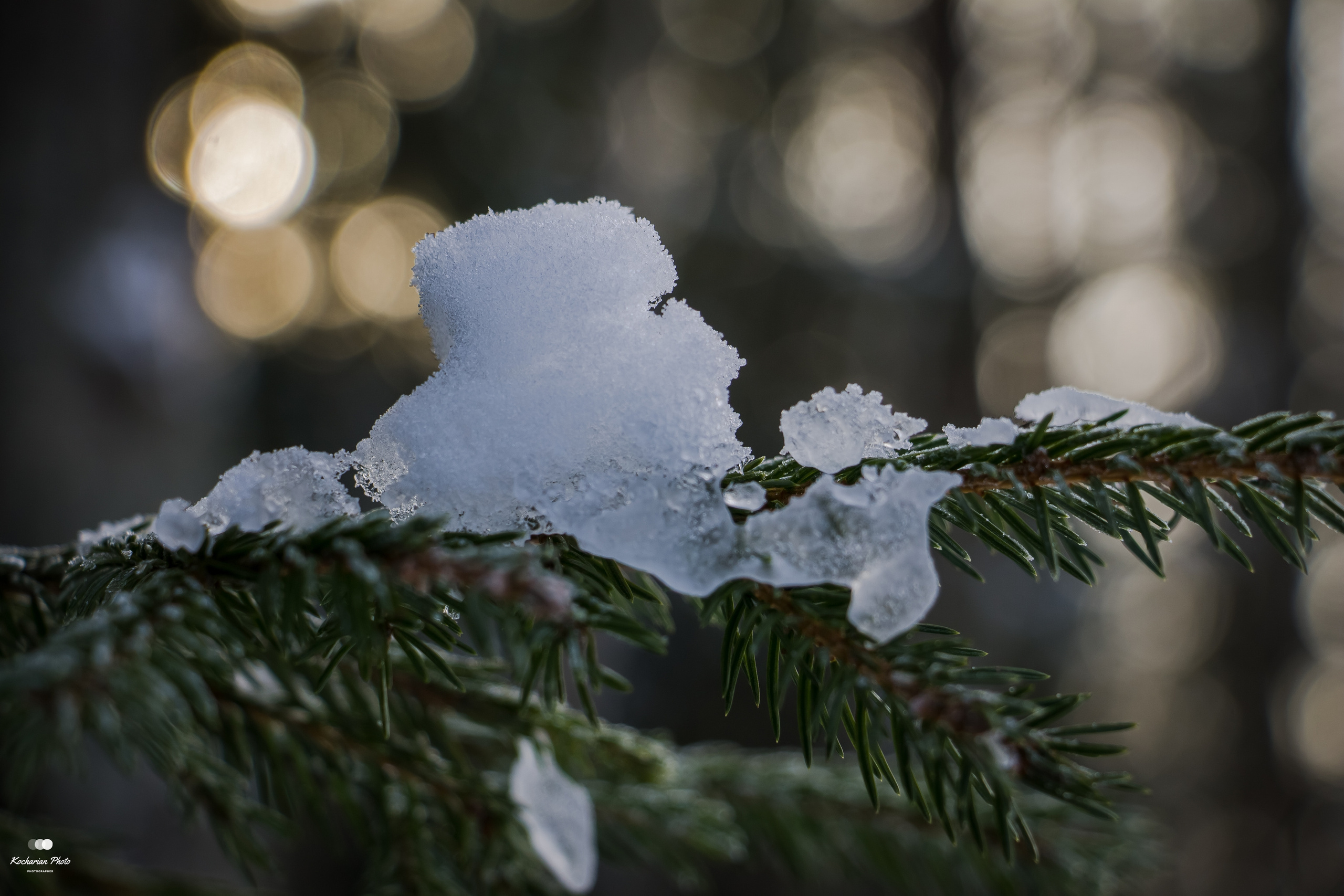 Макросъемка. Photographer K.A.D