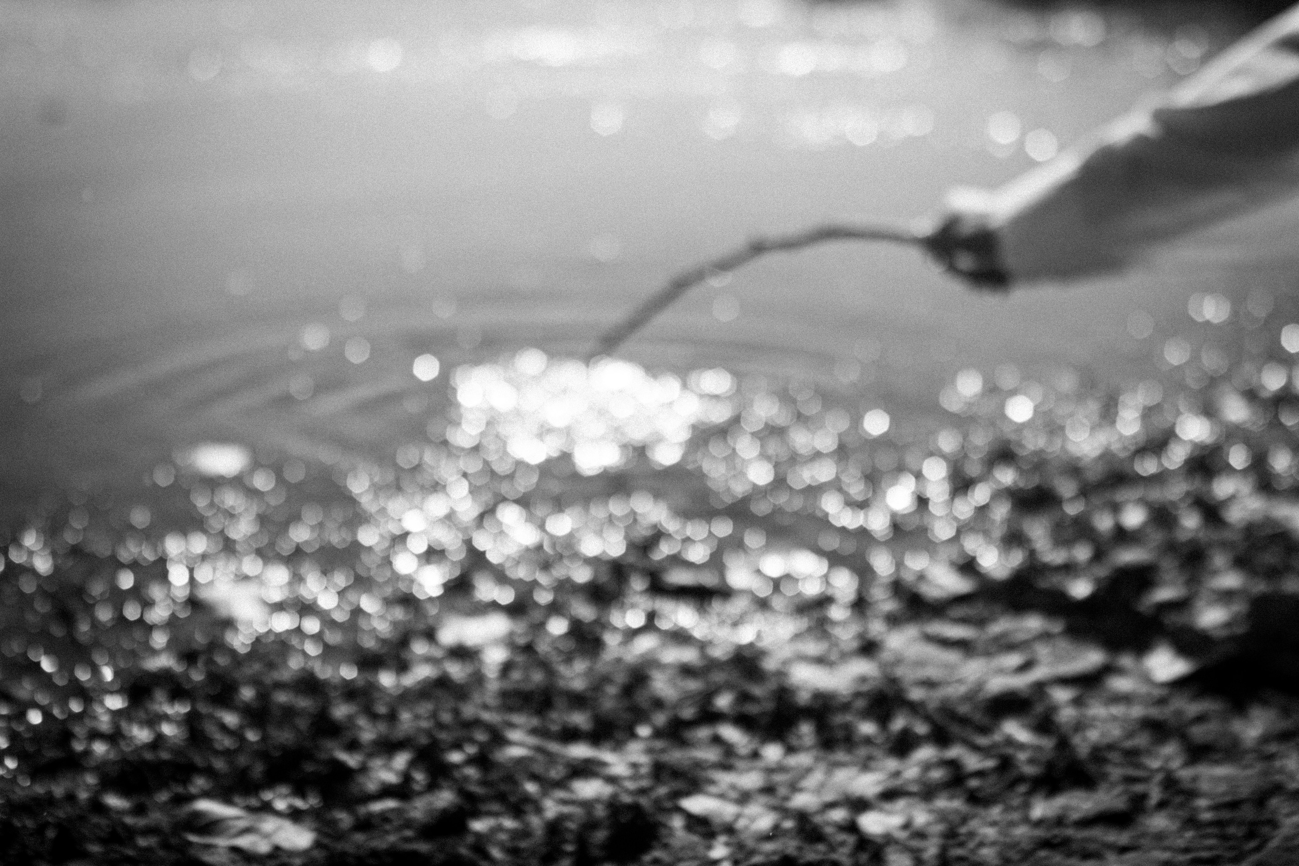 Лето задержалось. • Фотограф Александра Светозар Алчевск •