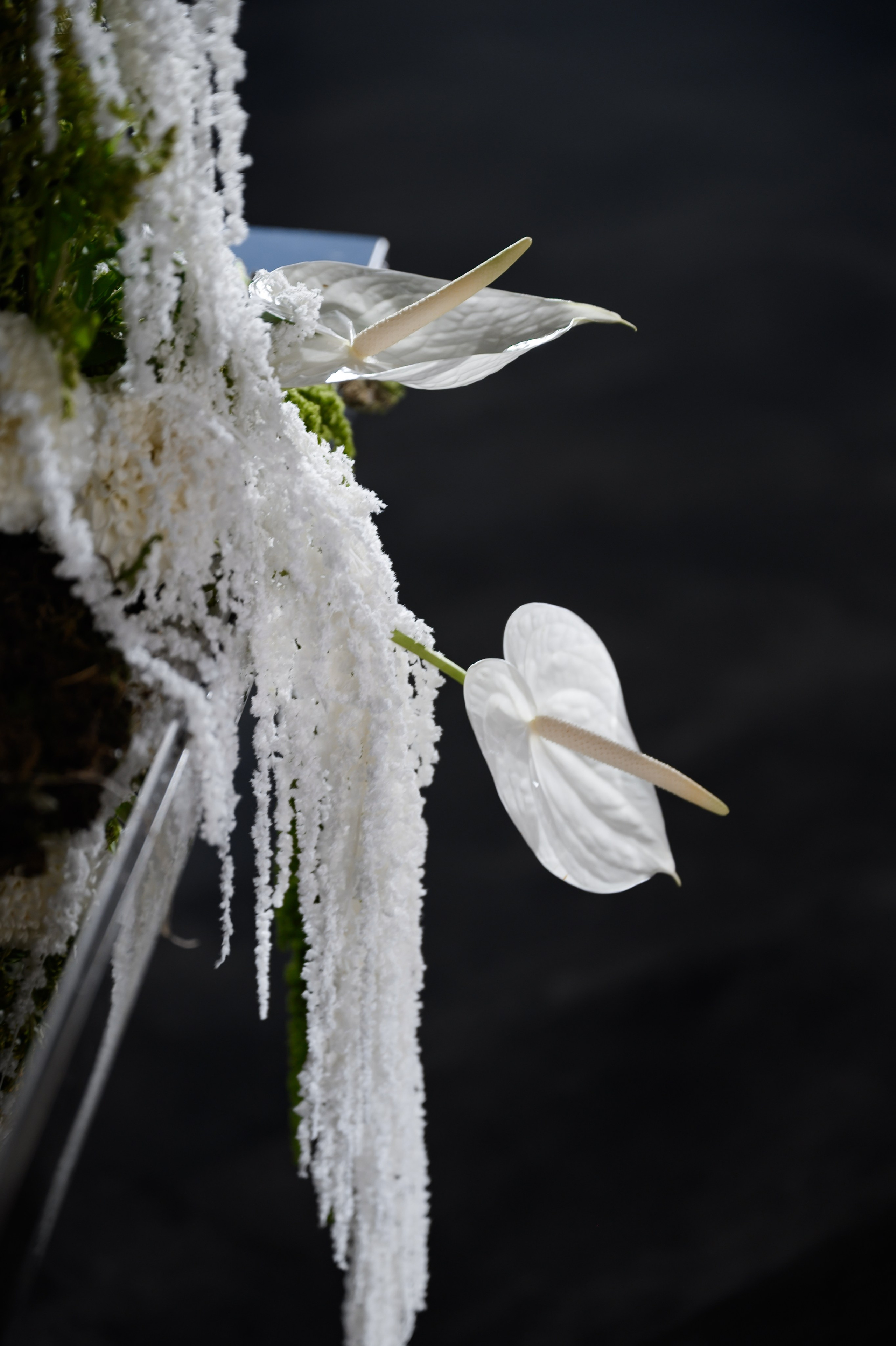 Юлия & Максим. Оформление свадеб, декор свадеб Вера Маркова, Москва
