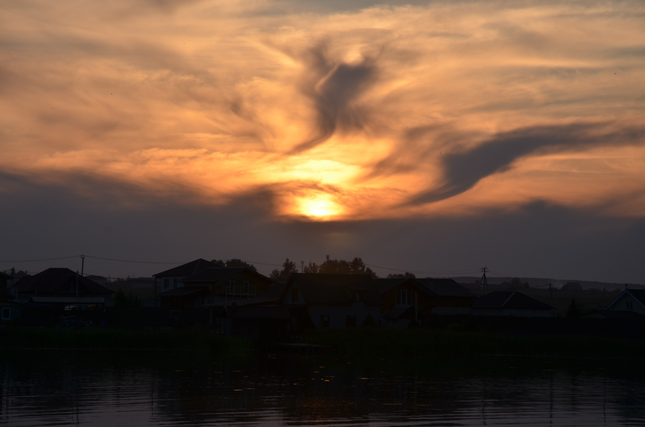 Дары природы. Фотограф viktor viktor