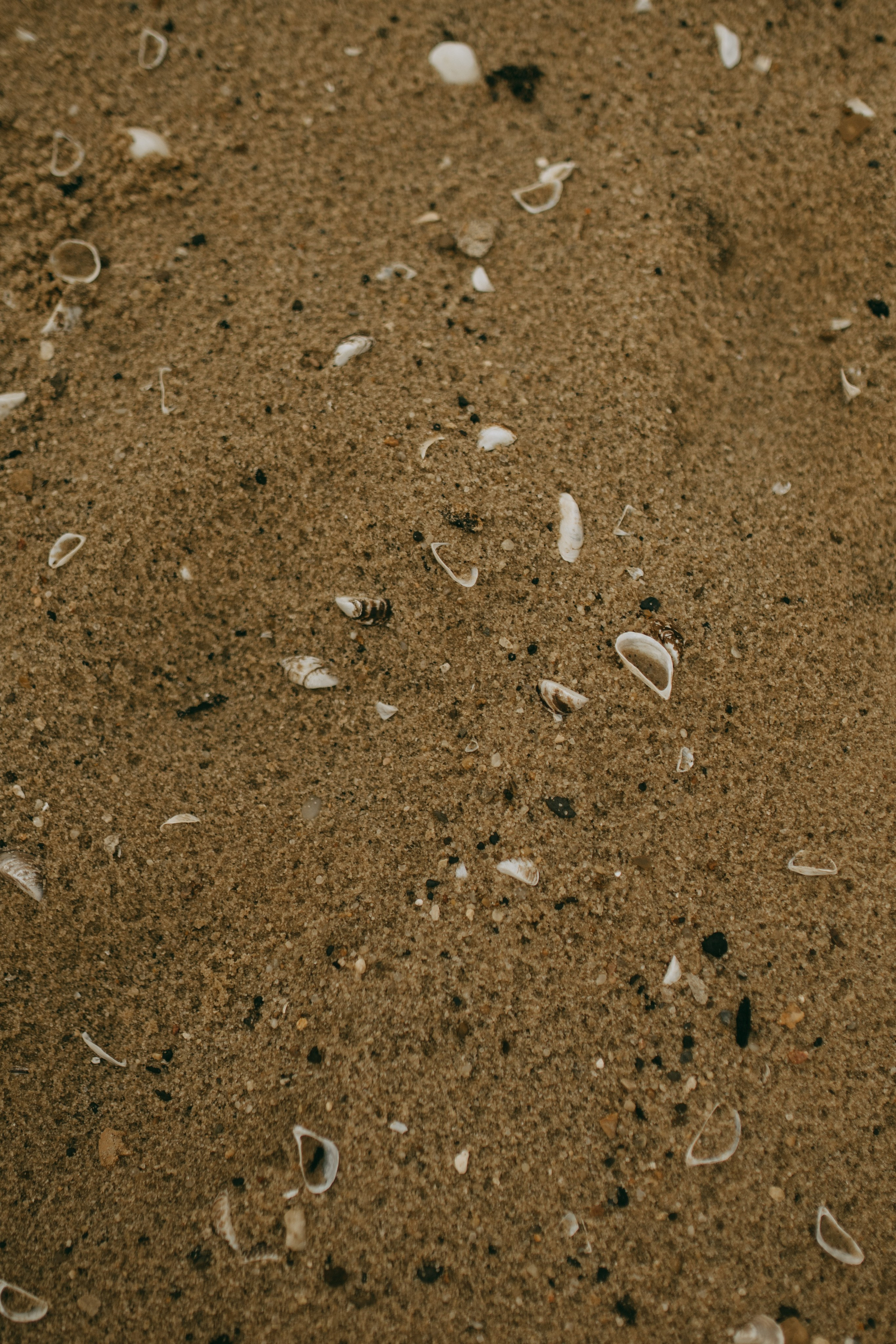 Прогулка у воды осенью. Семейный и детский фотограф в Рязани Екатерина Воронцова