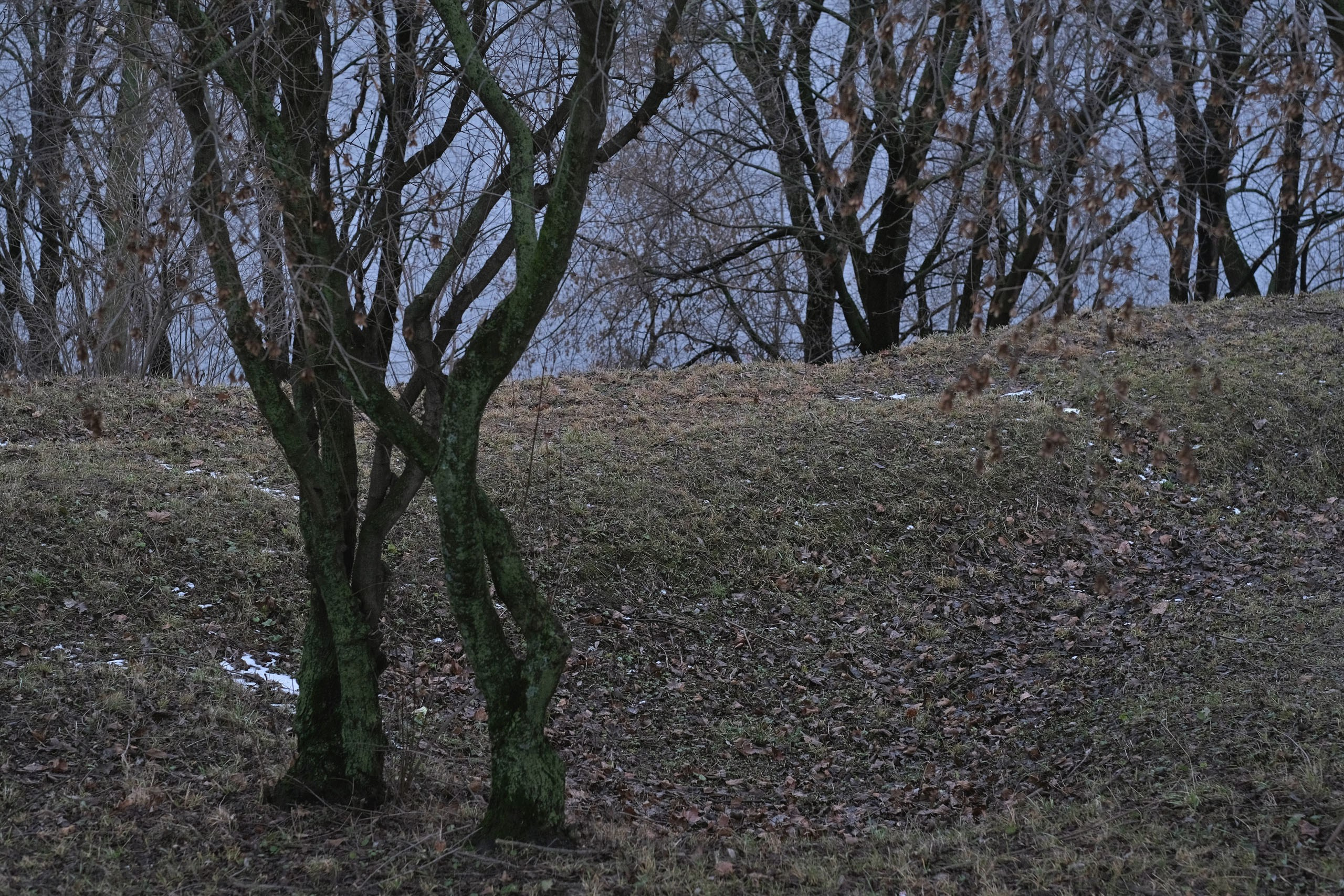 Фотоальбом с разными съёмками