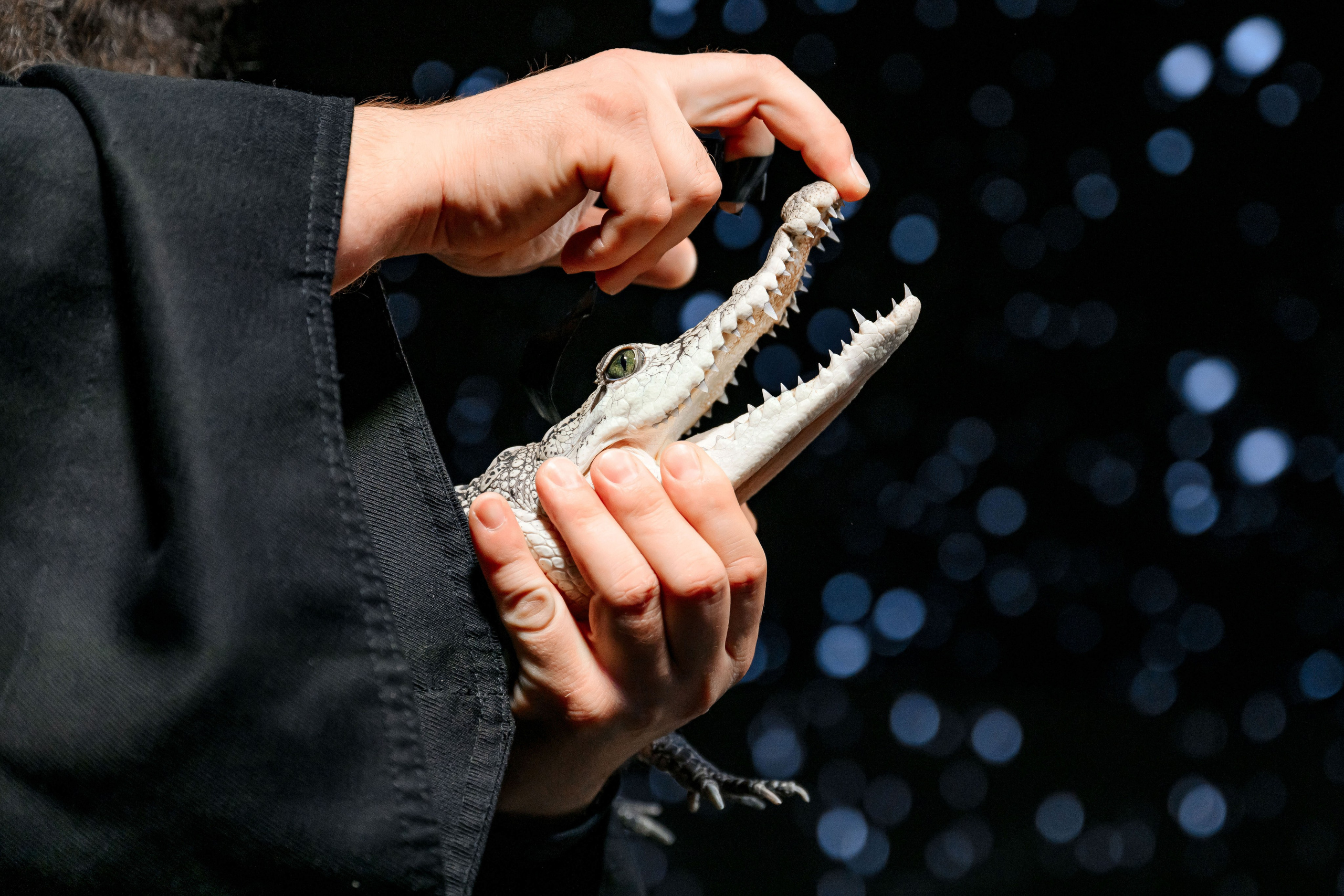 Happy Birthday. Максим Комаров — Профессиональный фотограф