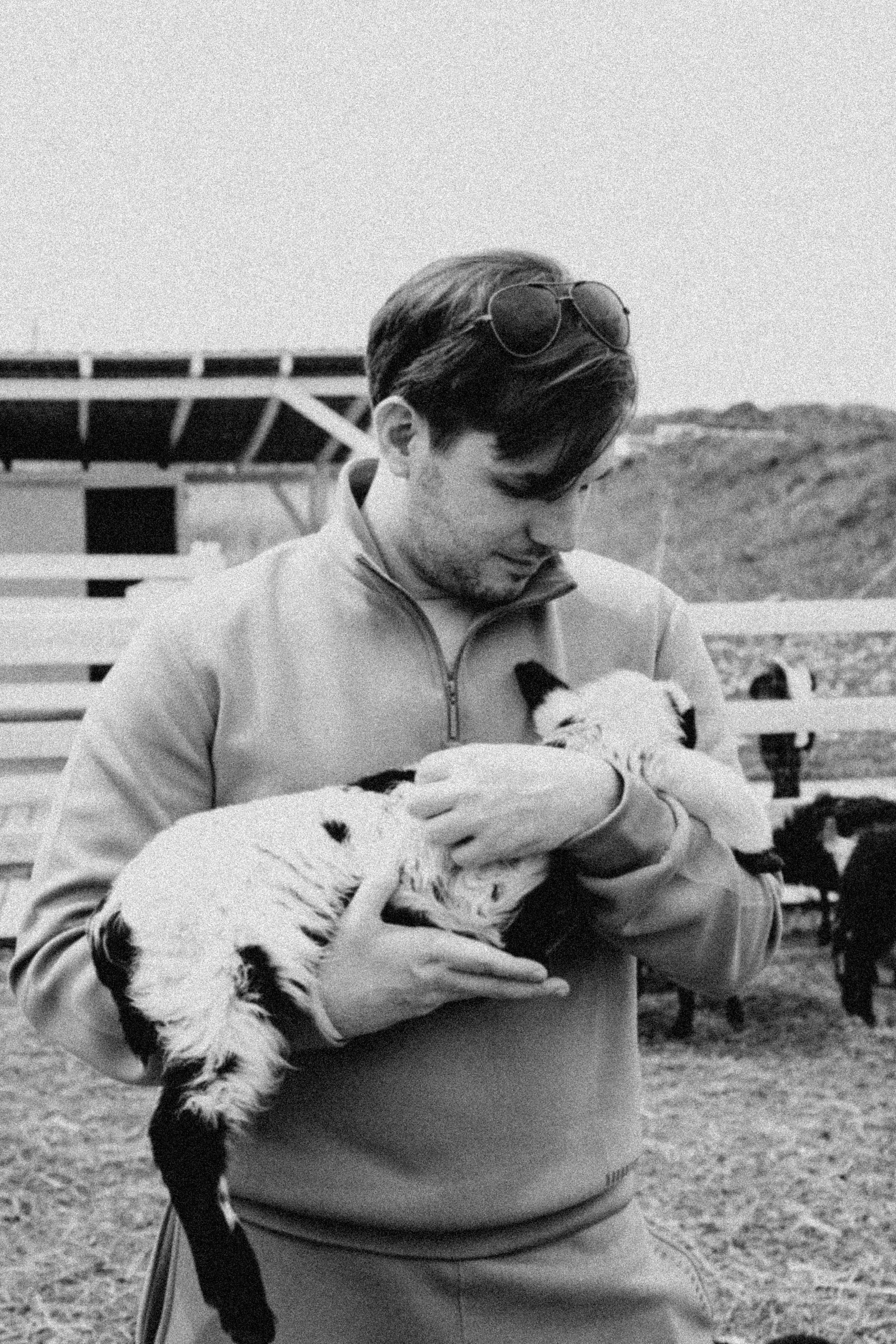 Ферма Альпак. Профессиональный фотограф, Санкт-Петербург — Виктория Богомолова