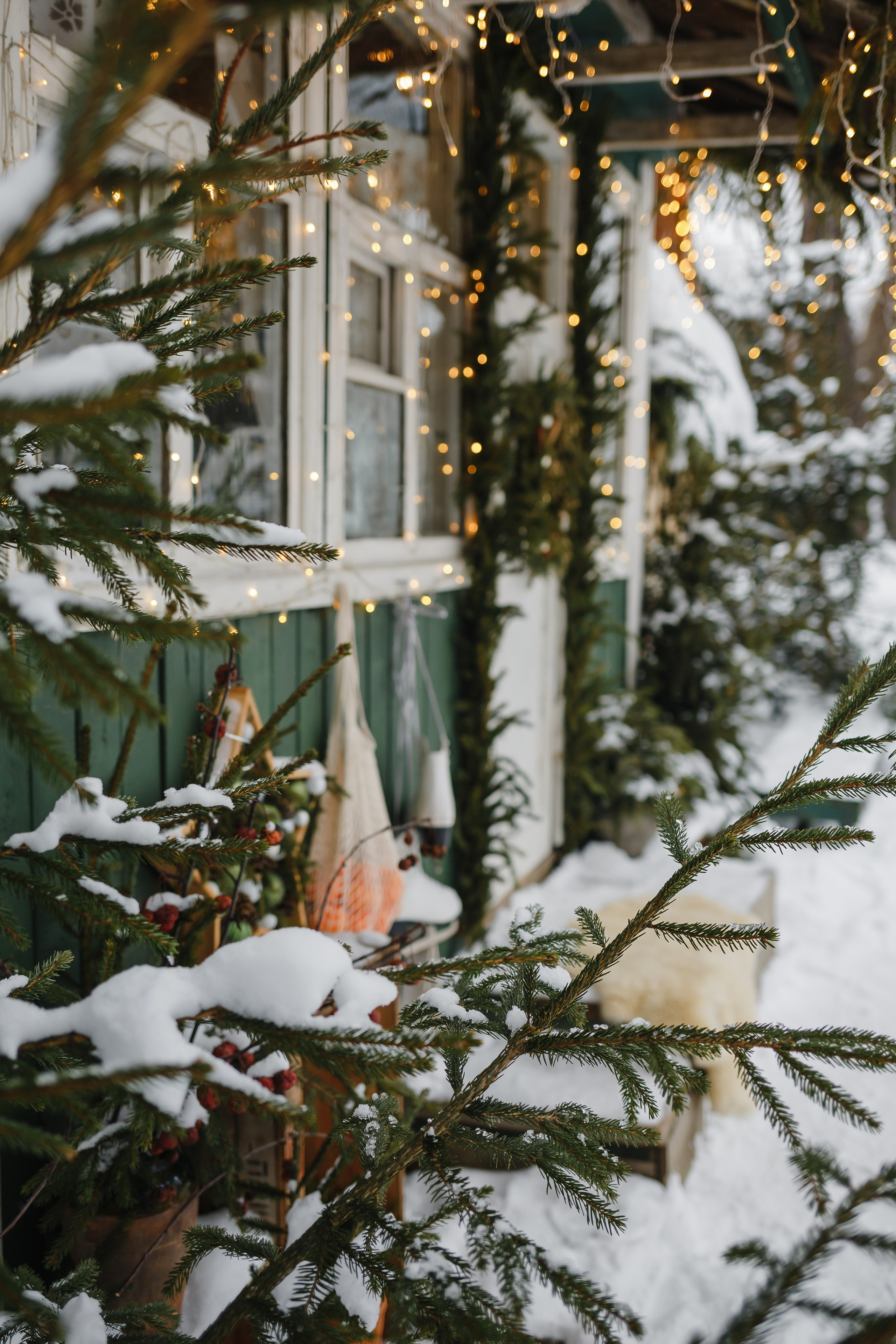 Анатолий, Ирина, Мирослав, Арина. Семейный фотограф Николаева Ольга