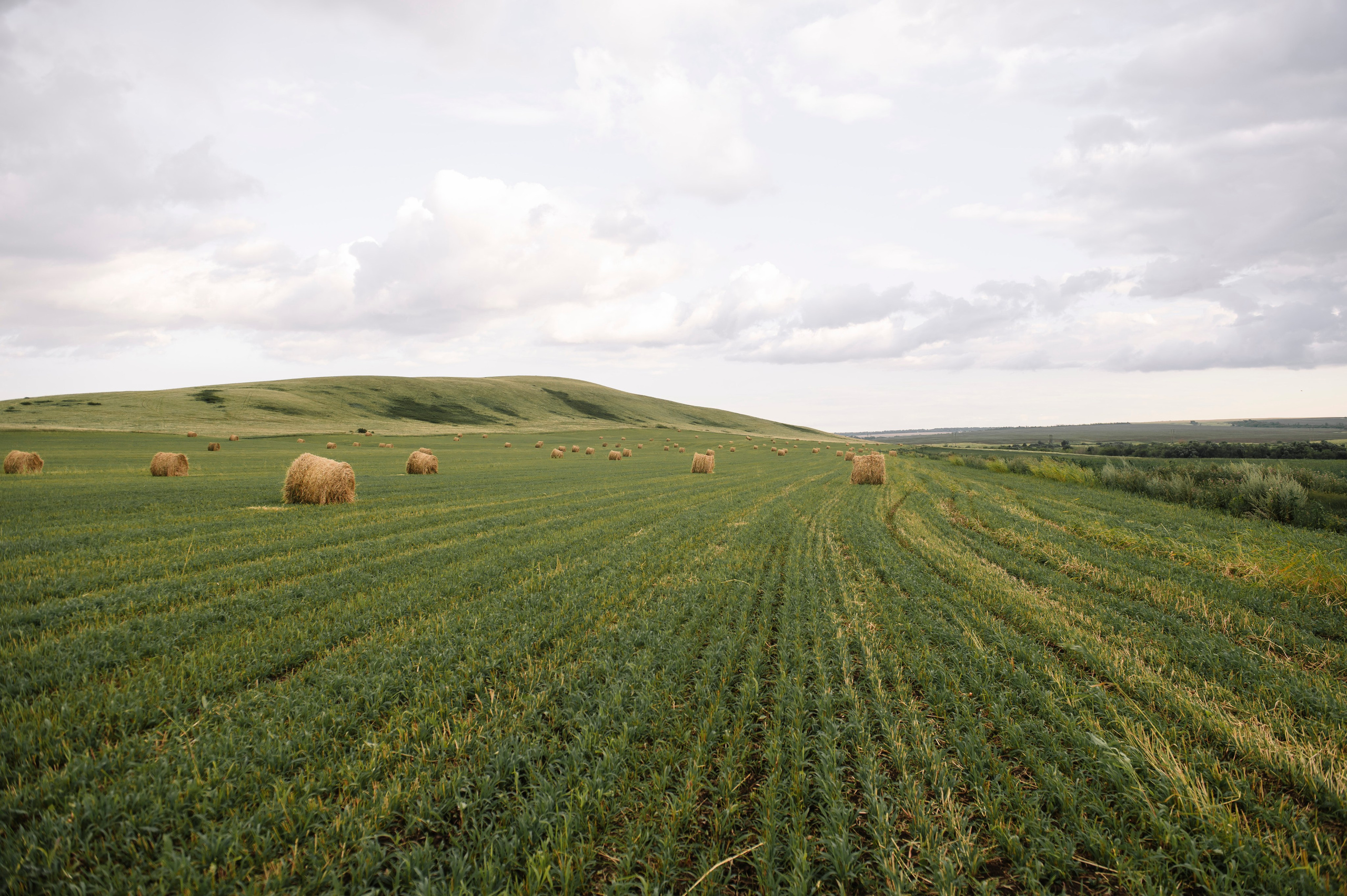 Перед дождем. Фотограф Дарья Семина