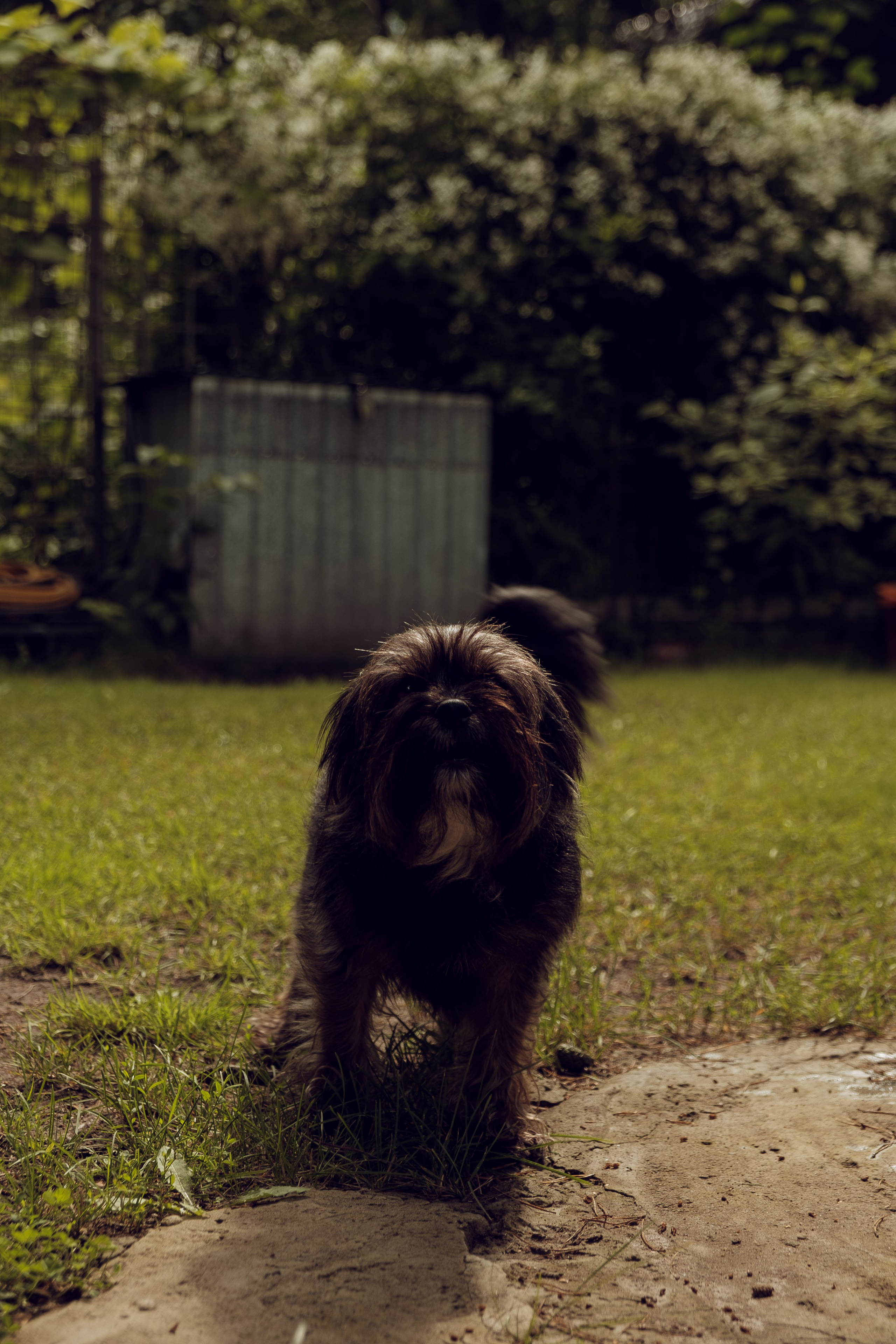 Людмила Ивановна и Настенька. Фотограф Евгения Войко Тюмень