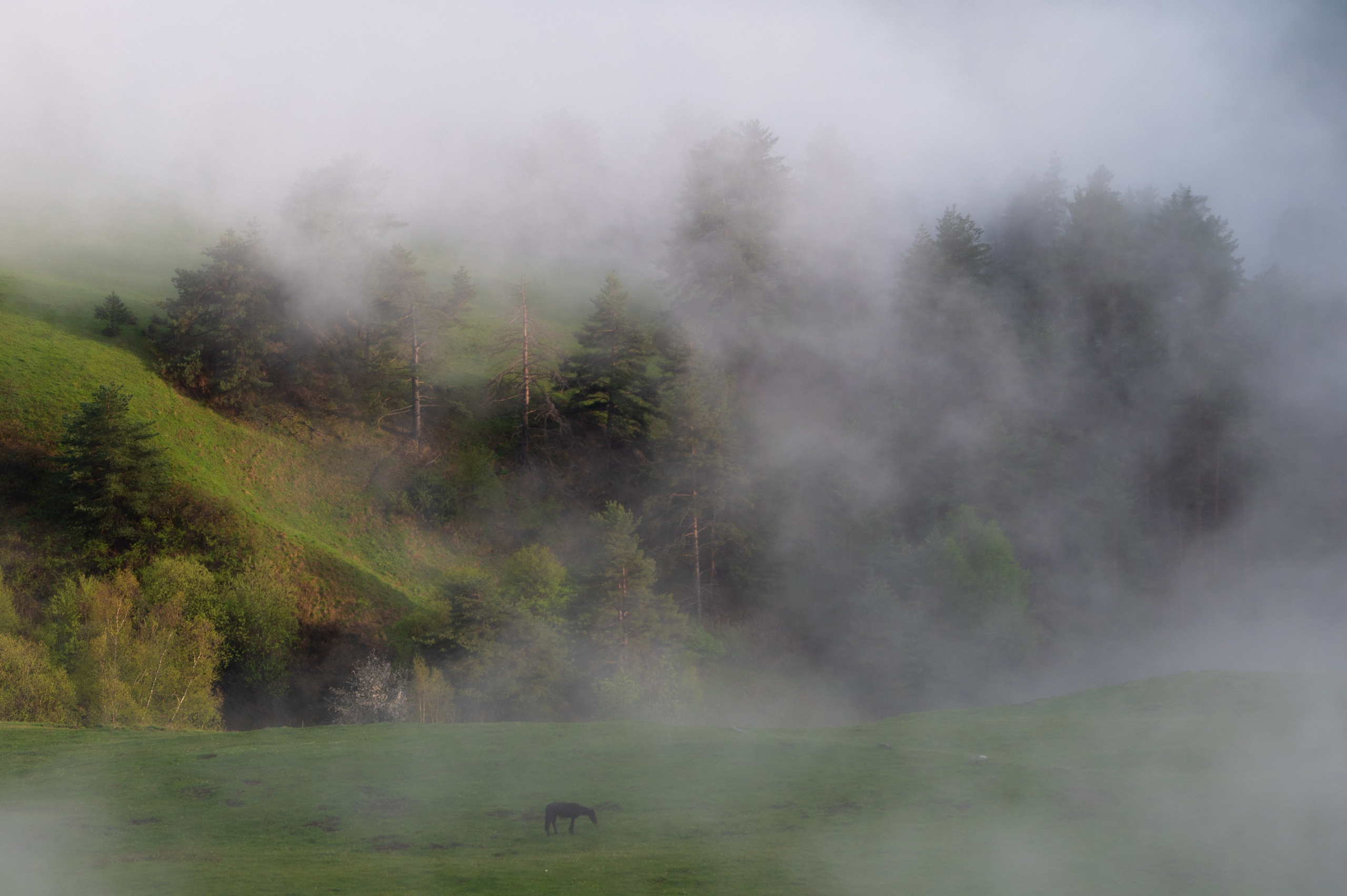 Красоты России. Игорь Иванко — Репортажный и событийный фотограф. Москва