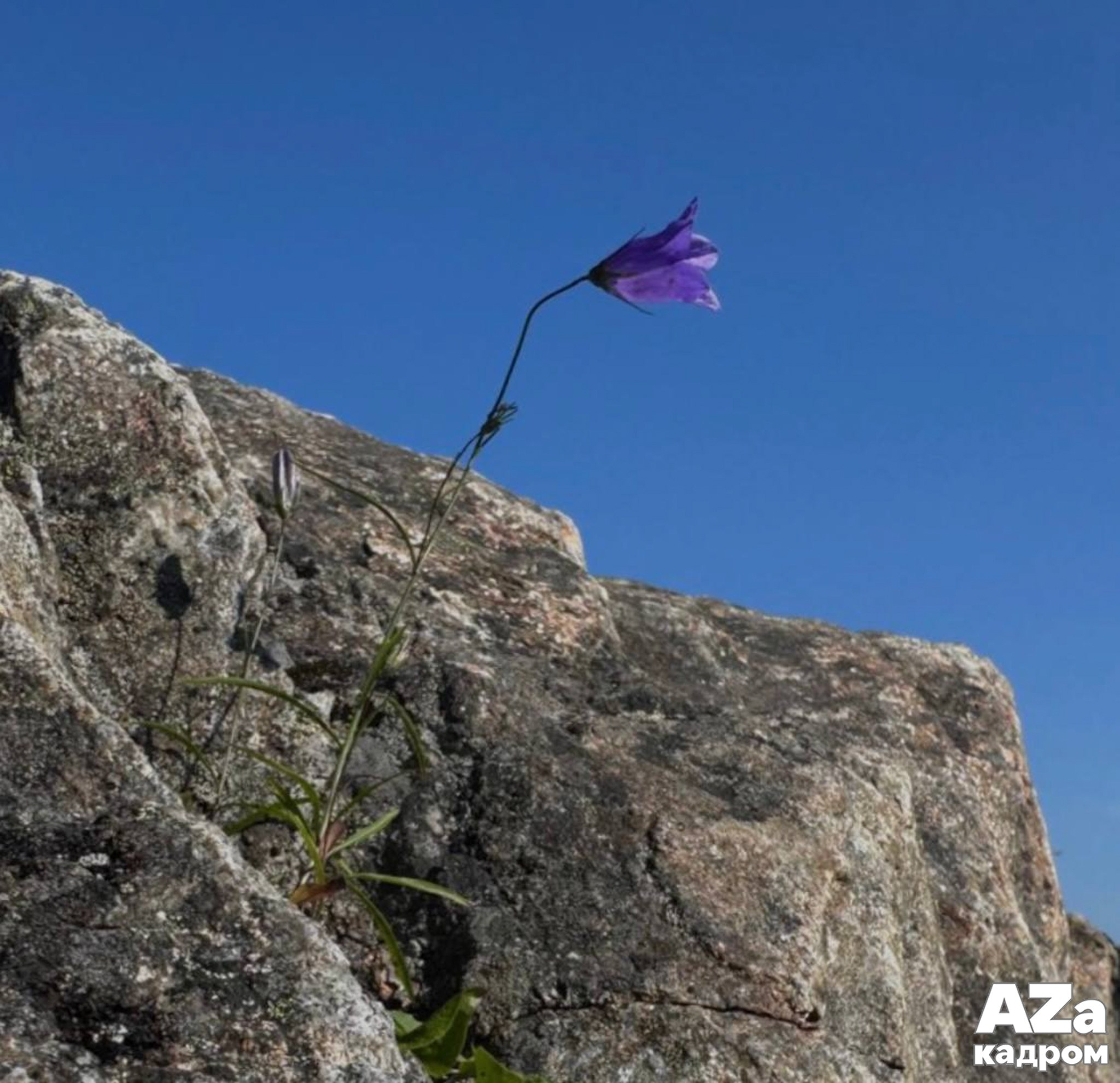 Лучшие кадры участников фотоклуба AZакадром по заданию «Стоп-слово»