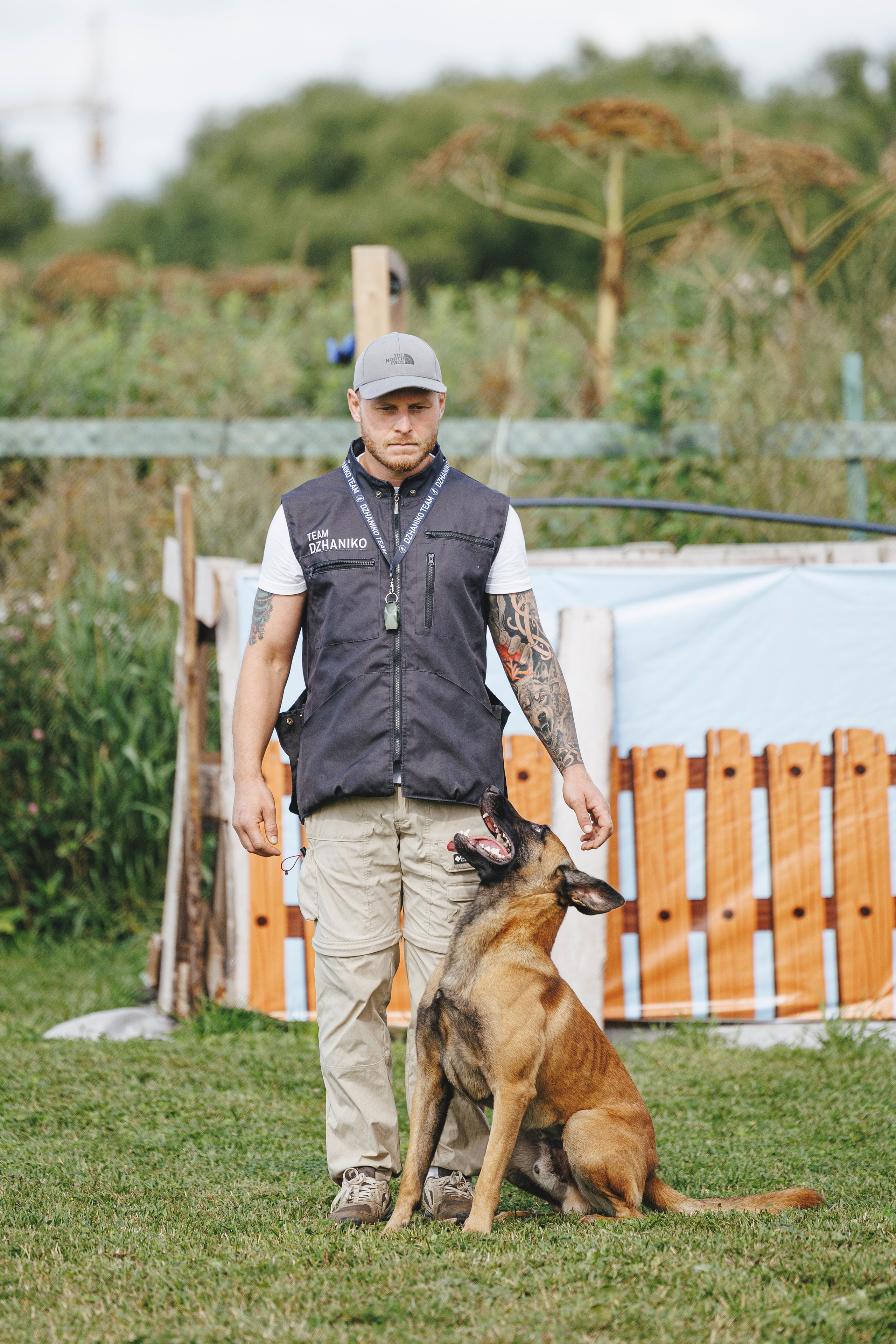 08.08.25-10.08.25 ЧР по мондьорингу г. Вологда. Фотограф-анималист Анна Маринич