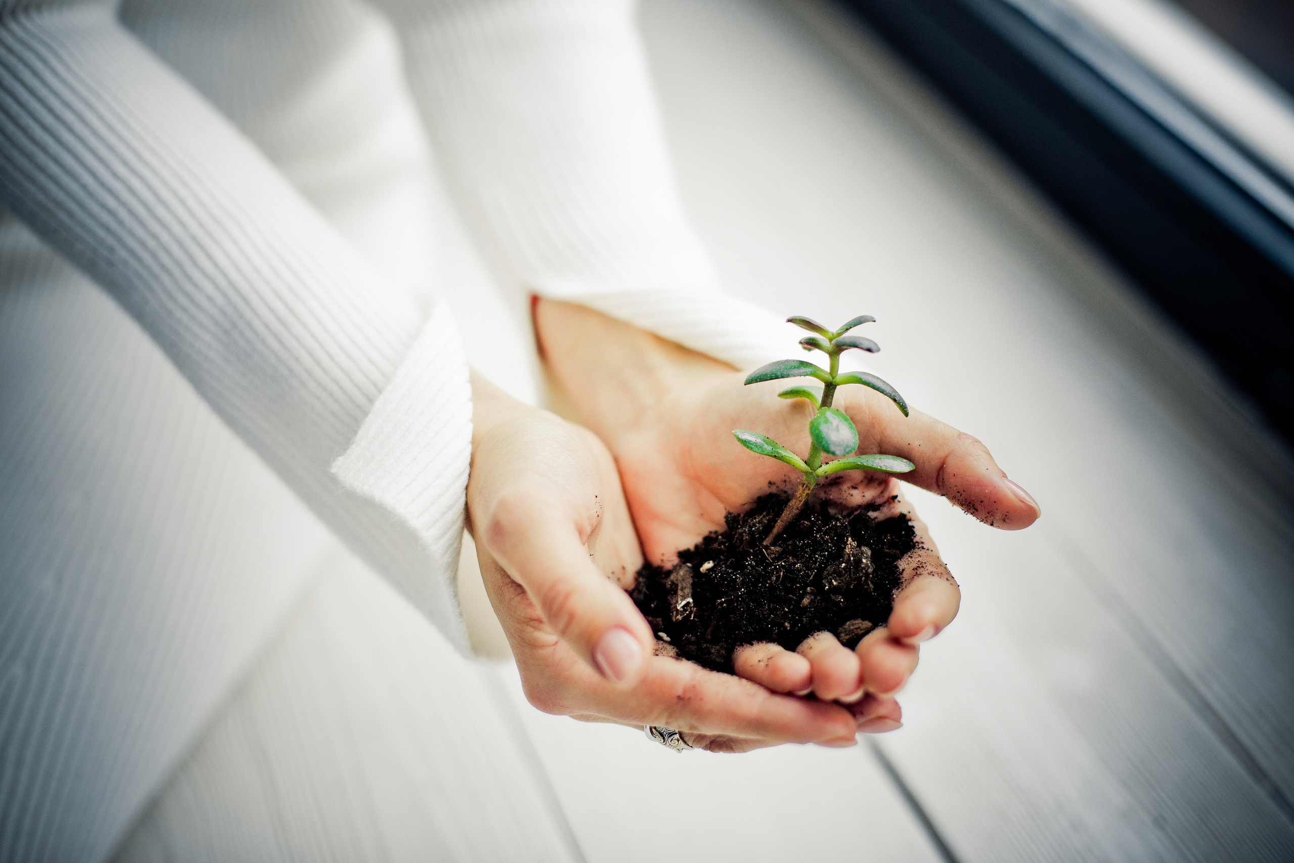 Женская деловая фотосессия для заполнения социальных сетей. Детский, свадебный и семейный фотограф Юлия Курбатова, Санкт-Петербург