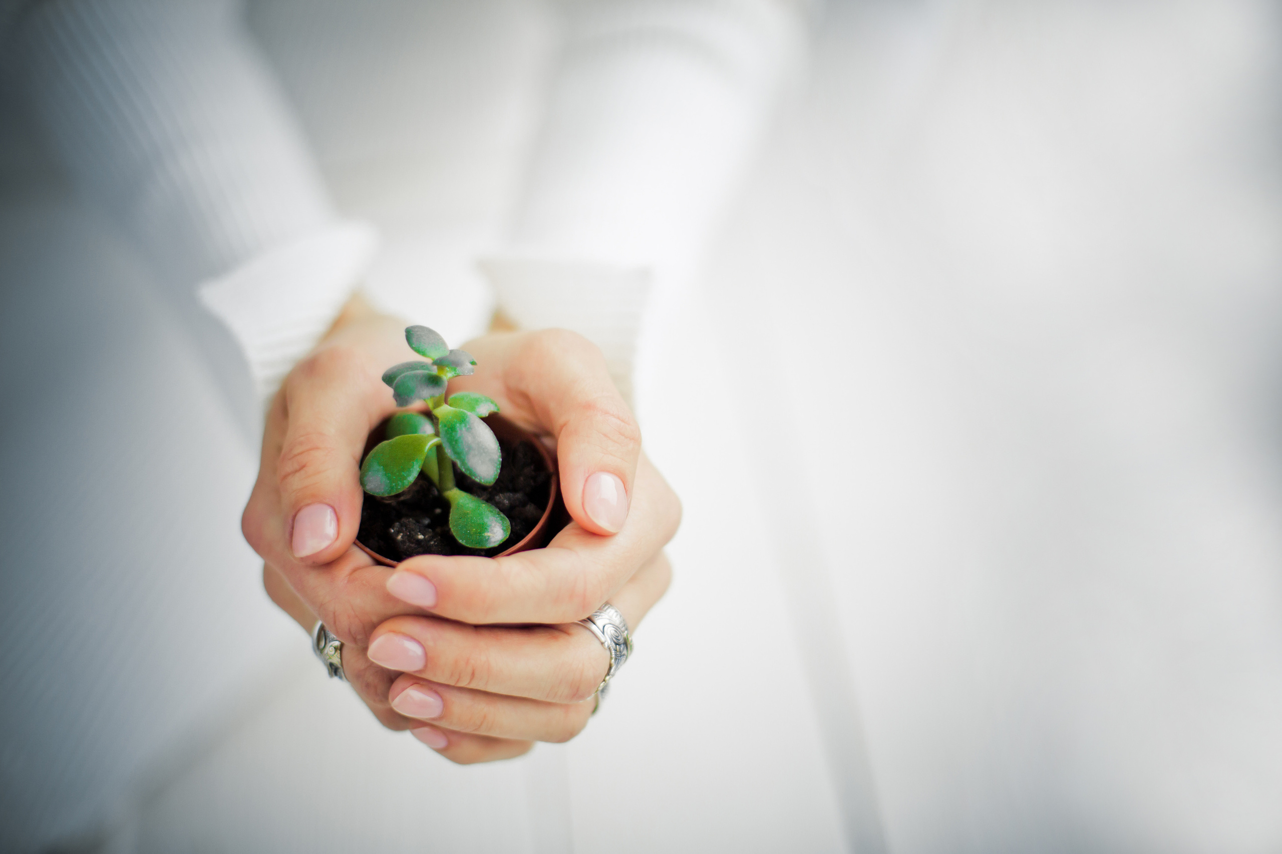 Женская деловая фотосессия для заполнения социальных сетей. Детский, свадебный и семейный фотограф Юлия Курбатова, Санкт-Петербург