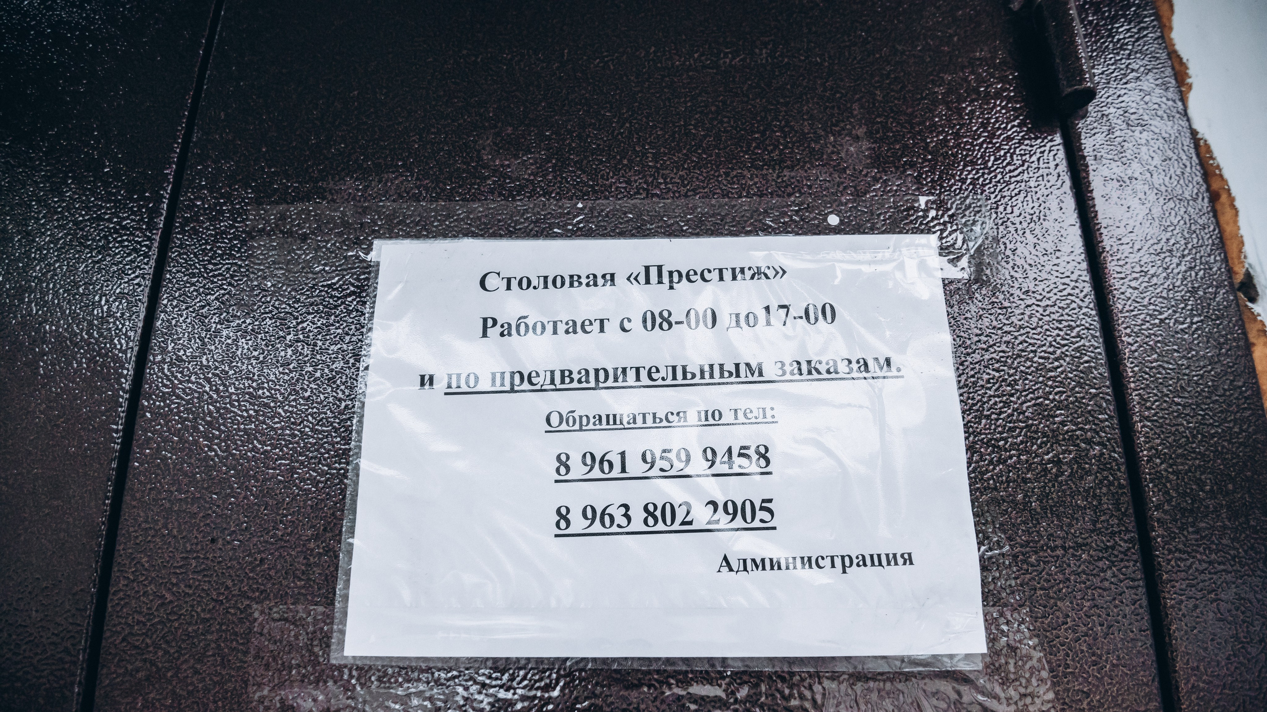 С. Поярково 2025. Фотограф Андрей Сенченко