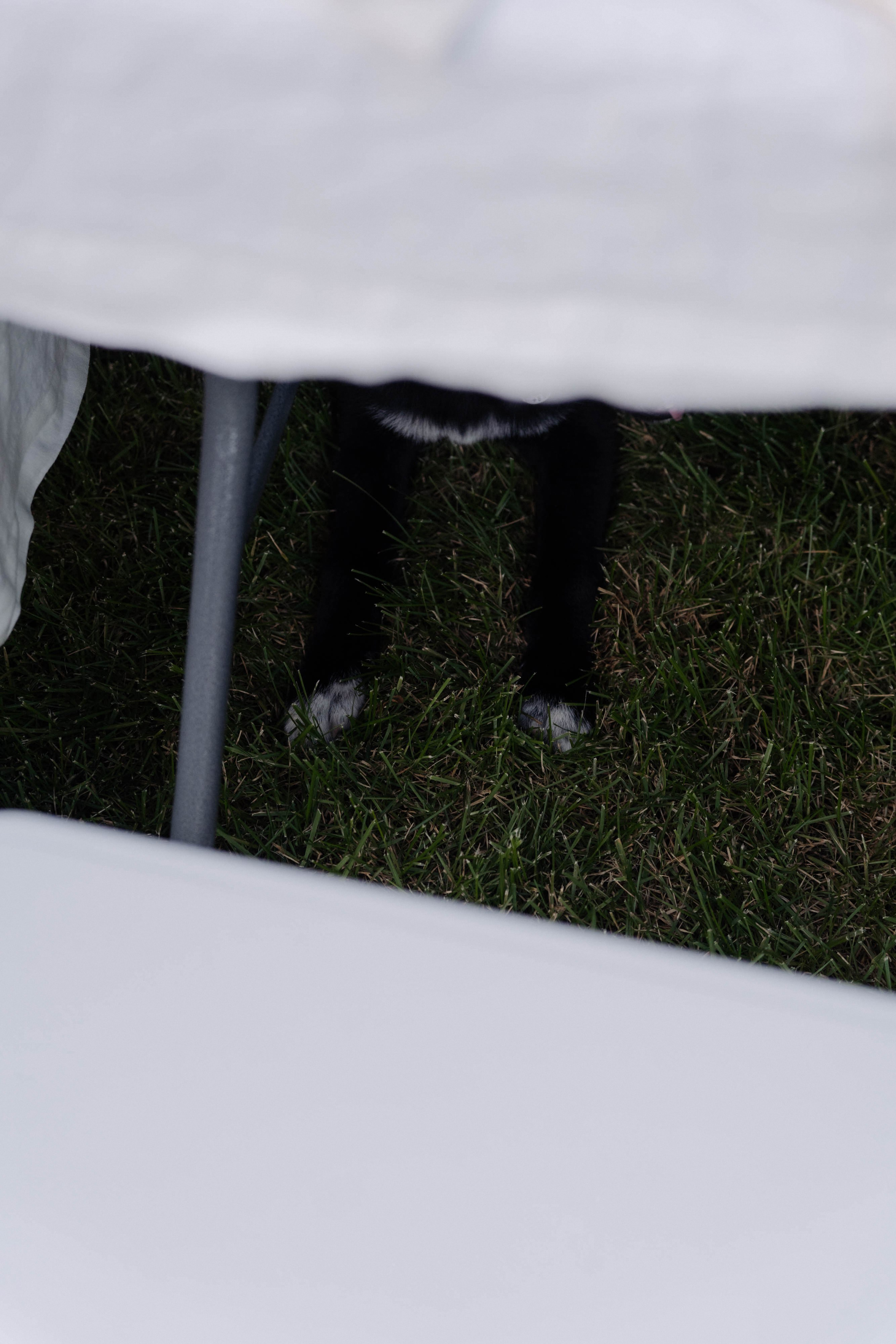 День рождения Марии. ФОТОГРАФ КСЕНИЯ СОСНОВСКАЯ