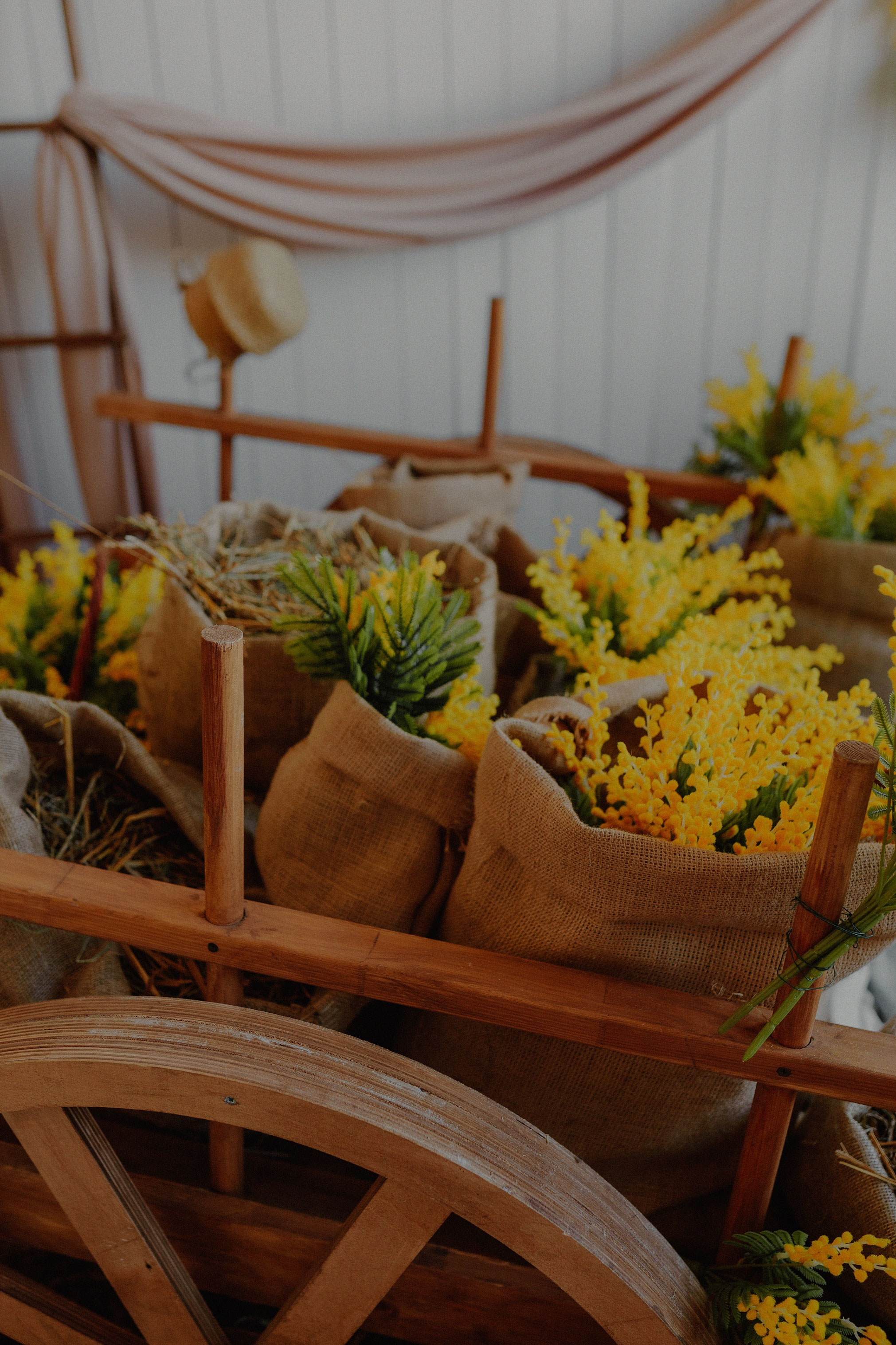 Фотография мимозы в старой телеге. Телега полная мимозы. Весенний декор.