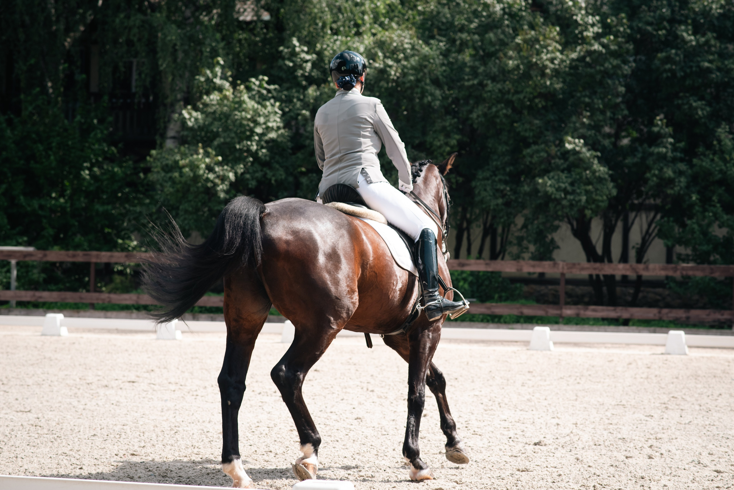Выездка 10.08.25. Фотограф, визажист. Москва