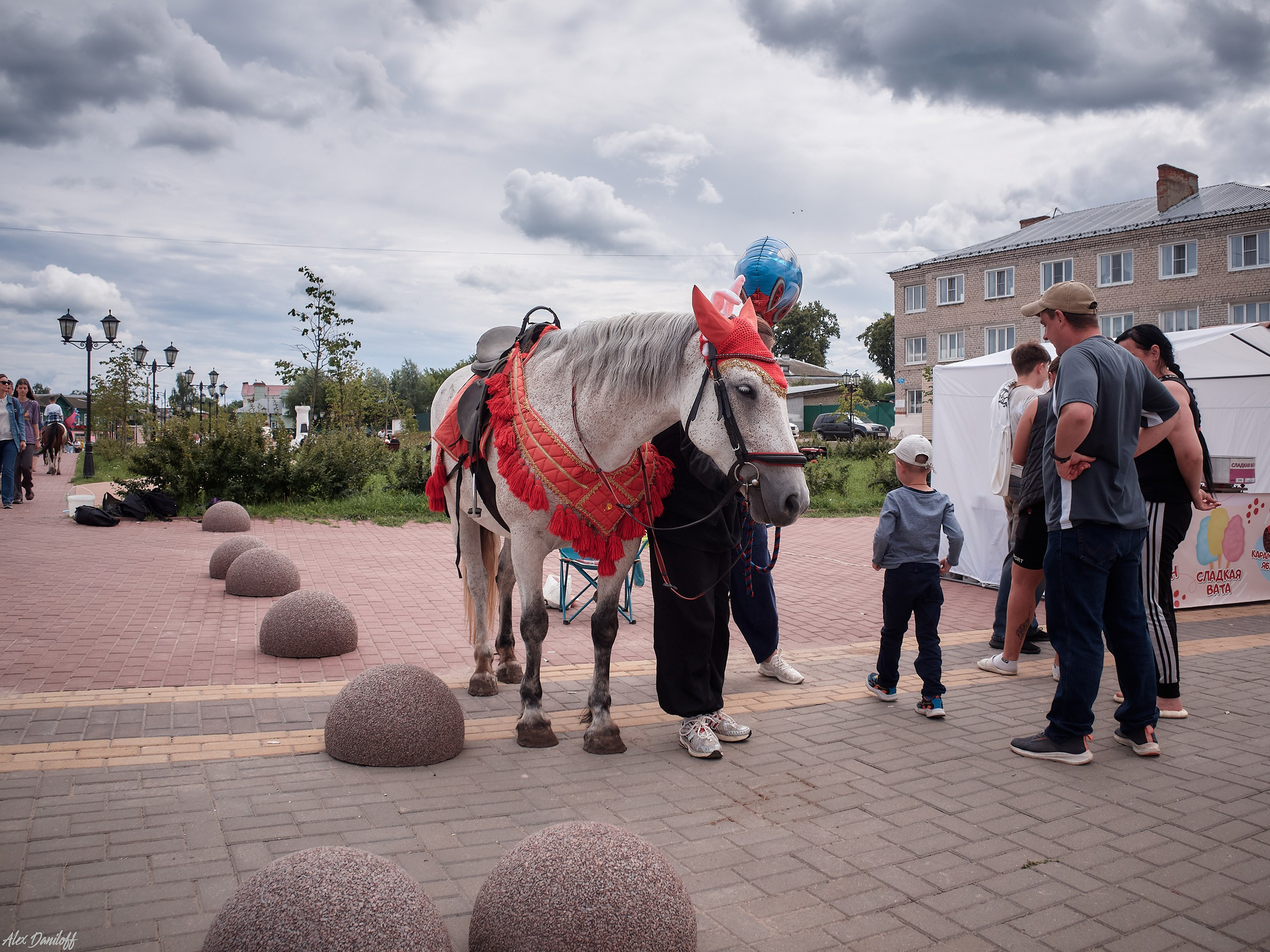 День семьи, любви и верности 2025. Муром-Инфо. Новости культуры, образования, спорта в городе Муром