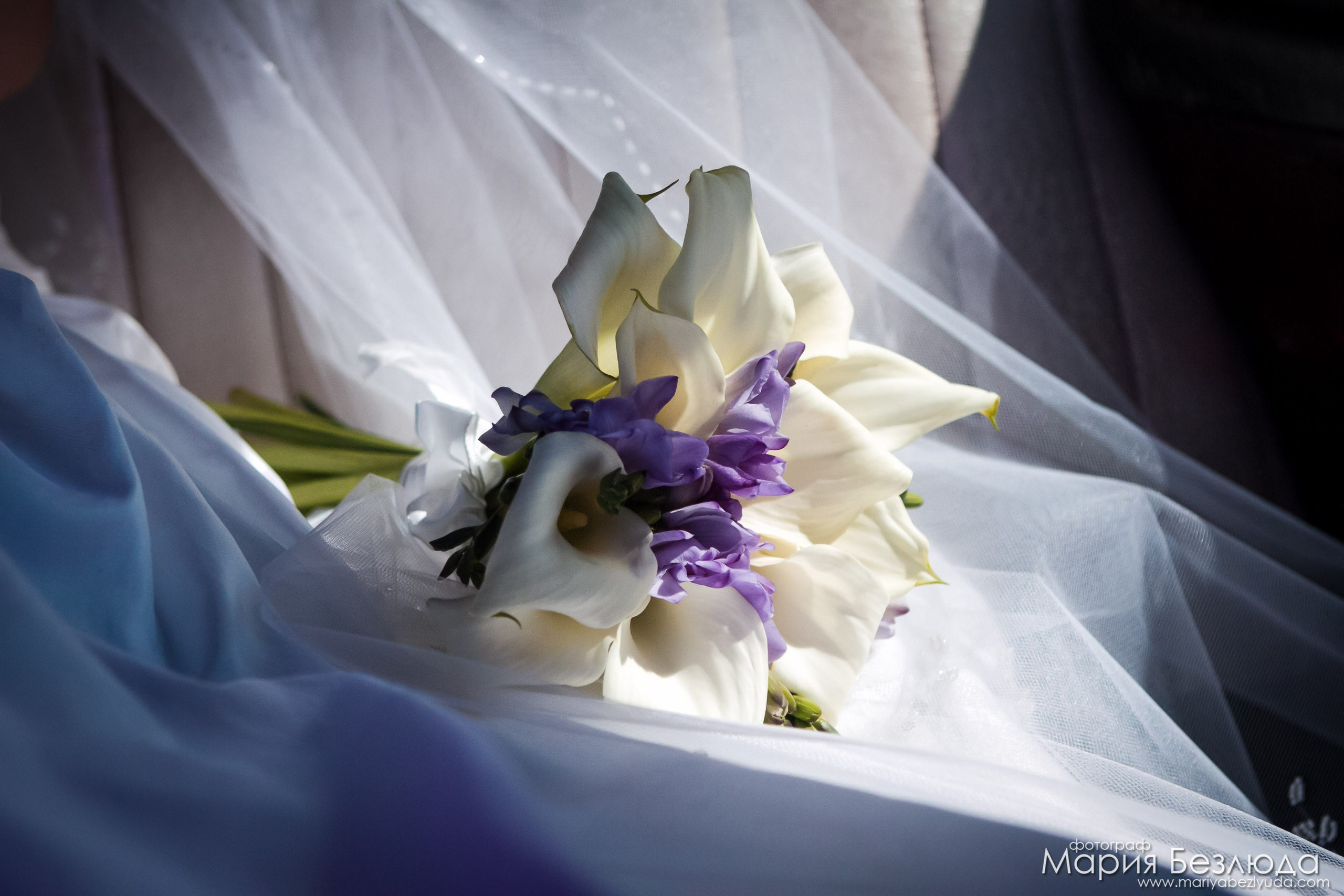 Яркие моменты с разных свадеб (2008–2024 гг). Семейный и детский фотограф в Москве Мария Быкова