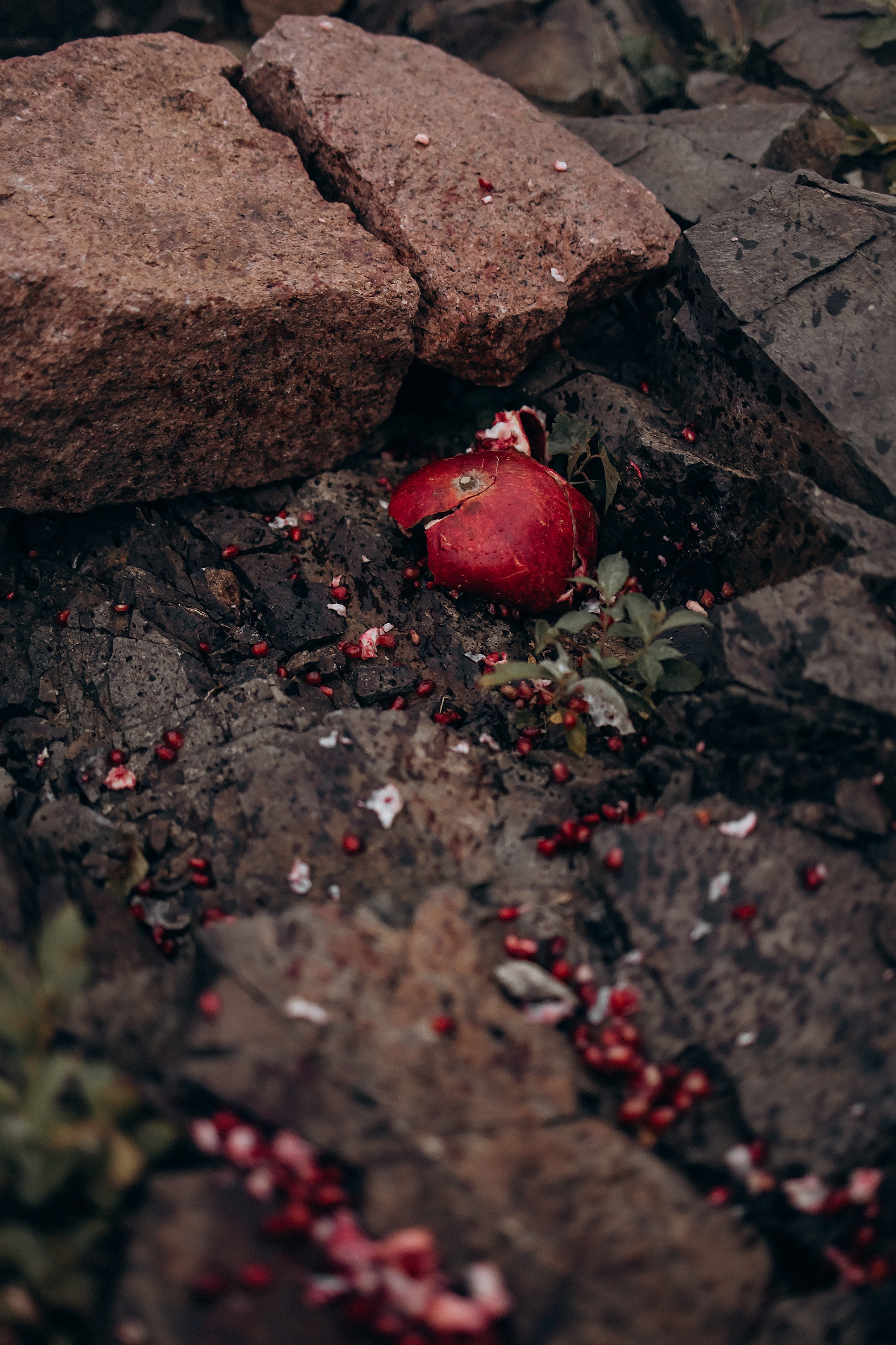 New heart. Фотограф Красноярск Наталья Чуйко