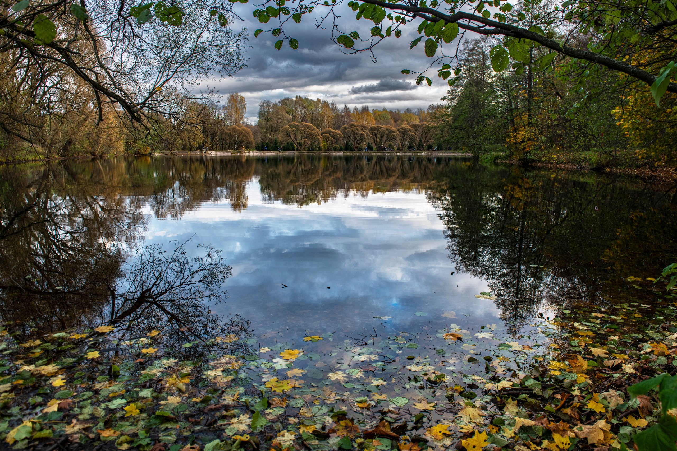 Пейзаж. Главная
