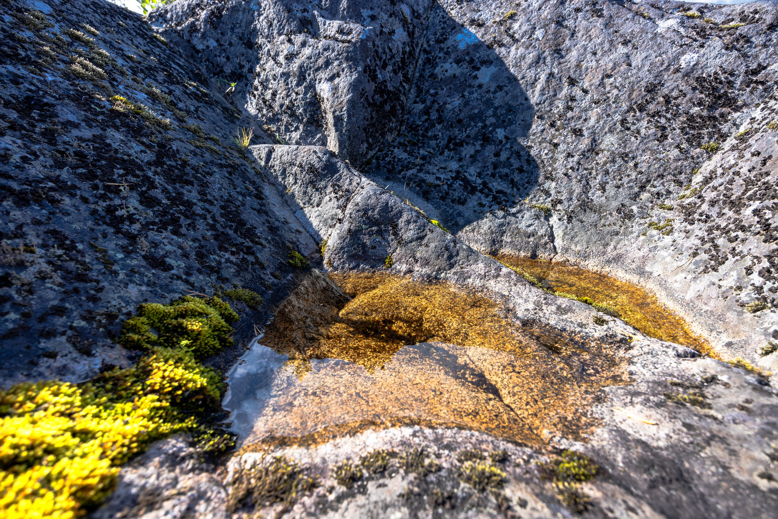 Ладога. Автомобильная фотография в Санкт-Петербурге