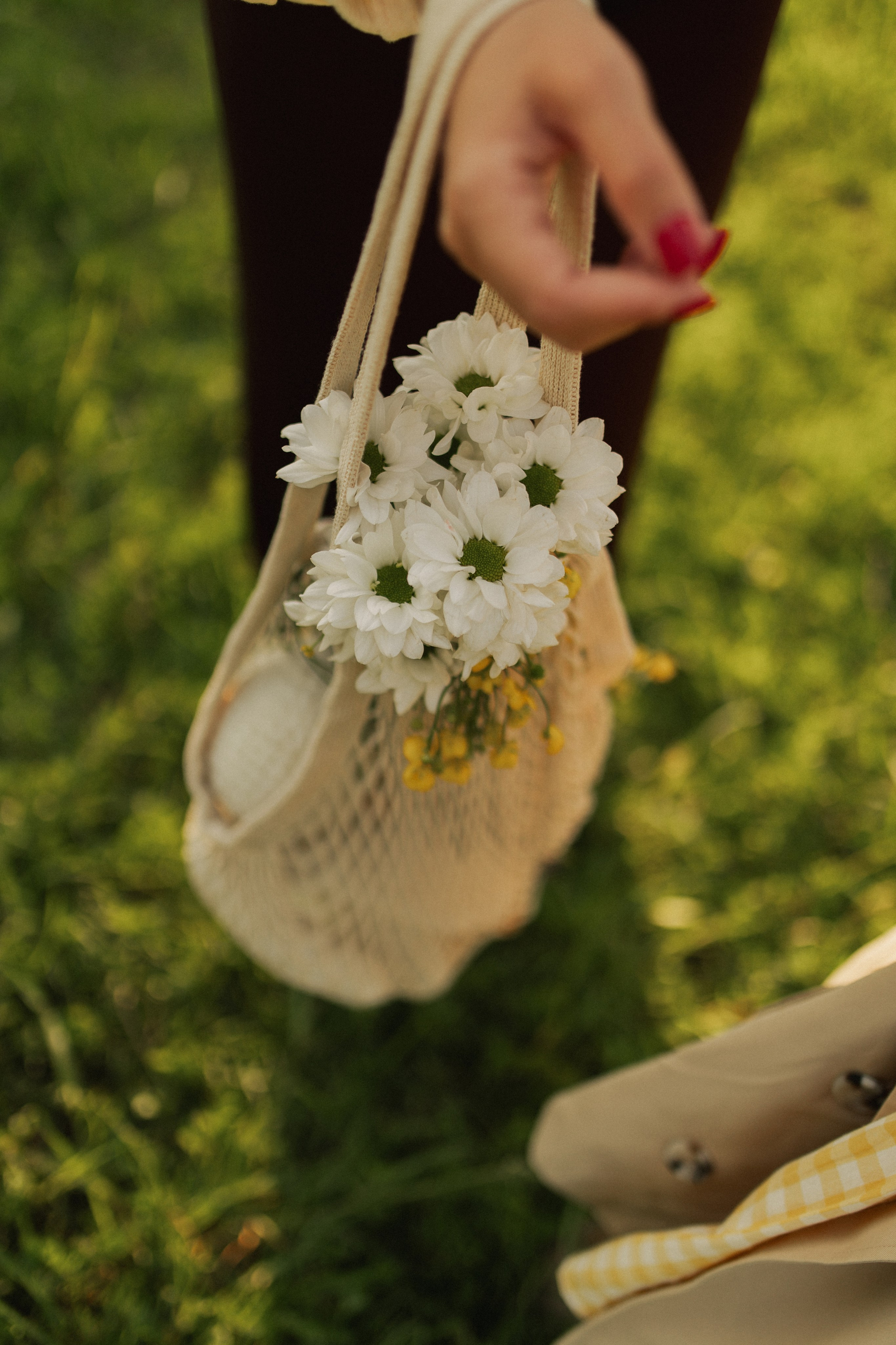 Лола и Софи. Главная