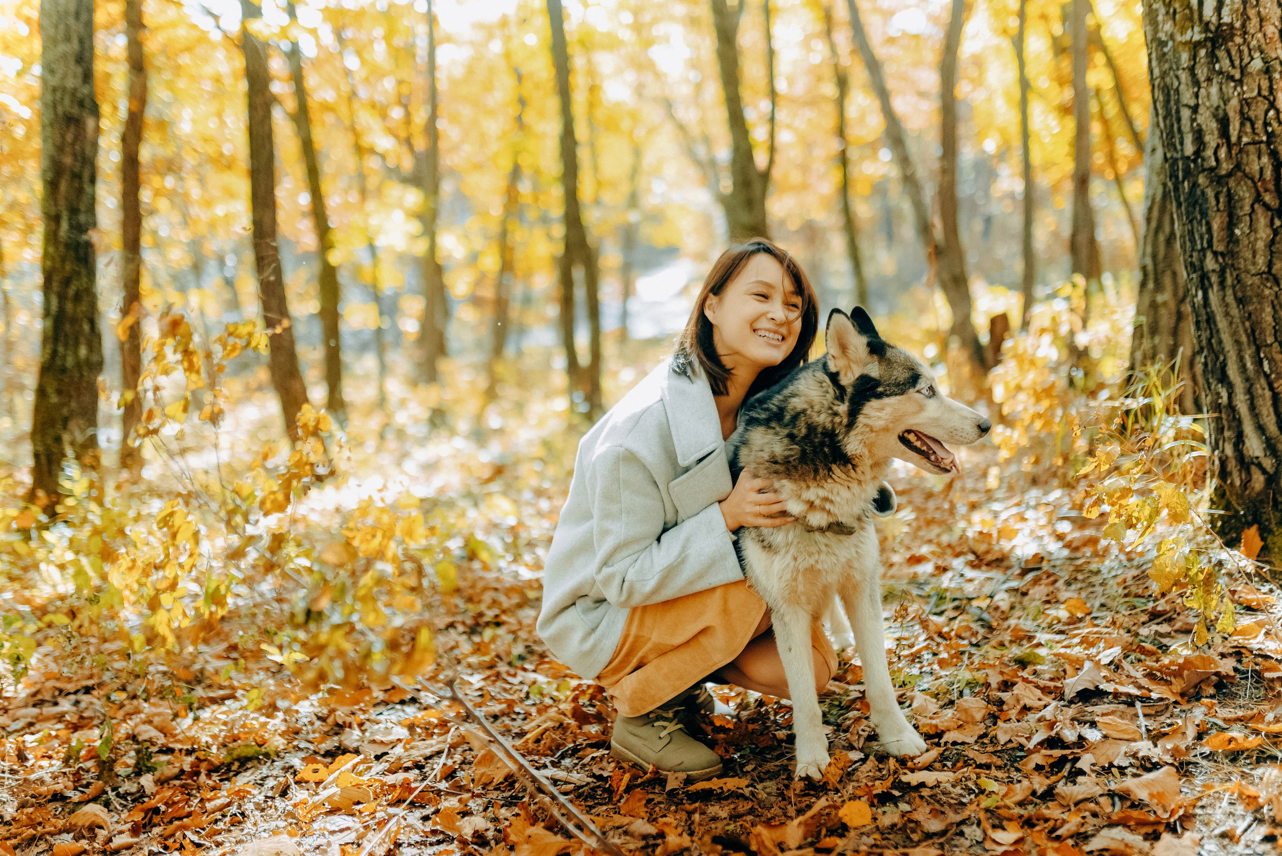 ТЕПЛАЯ ОСЕНЬ. Шашкова Вероника / Свадебный и семейный фотограф Москва и Ярославль