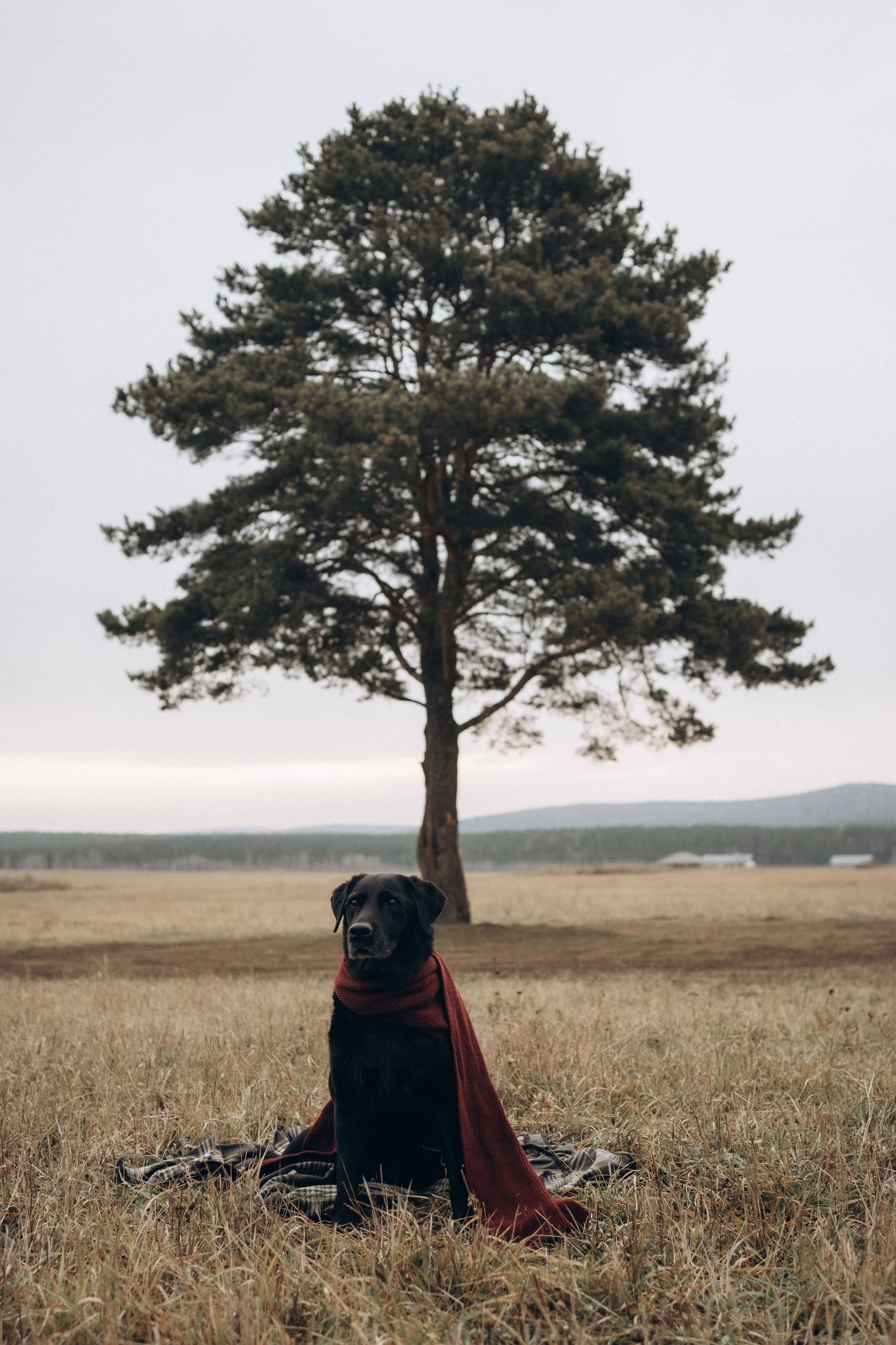 Таня и Молли. Фотограф-анималист Анастасия Большакова